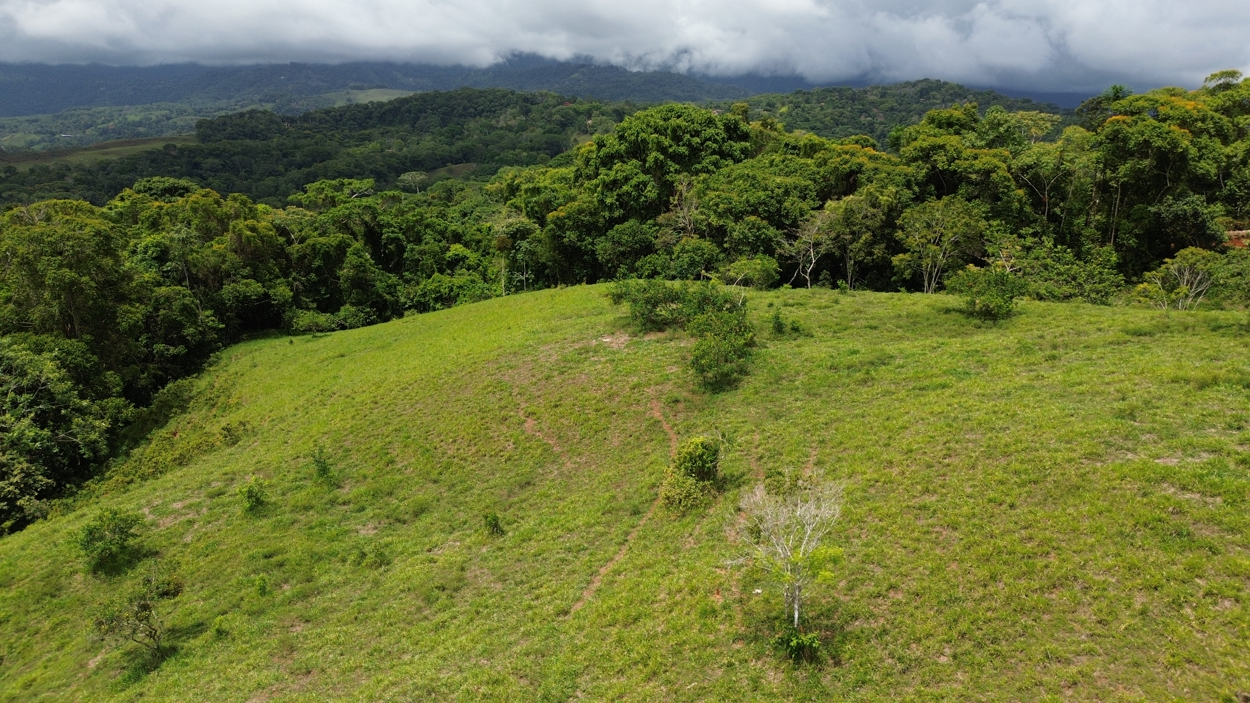 0 bed Land For Sale in Perez Zeledon, San Jose - thumb 13