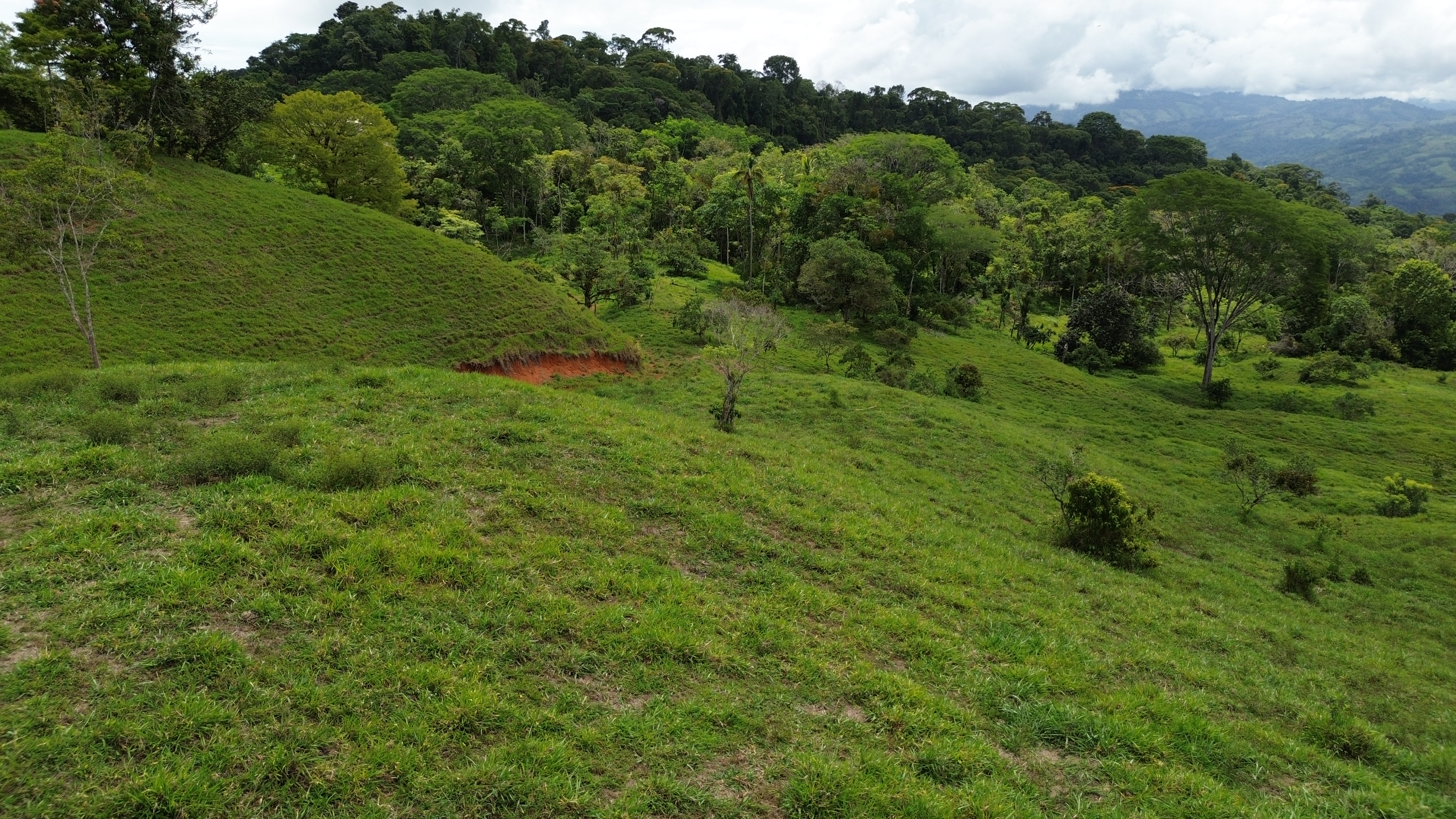 0 bed Land For Sale in Perez Zeledon, San Jose - thumb 3