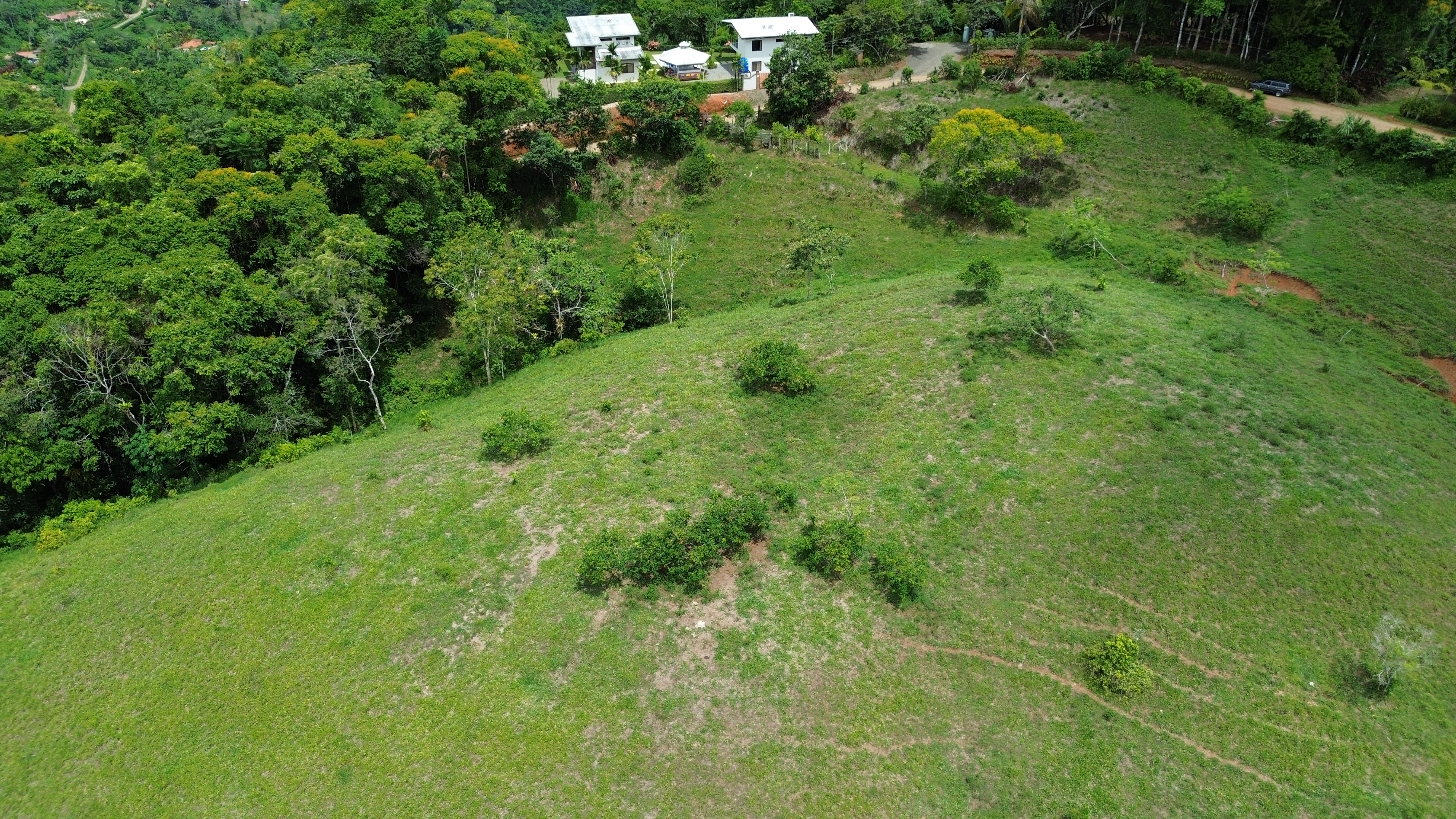 0 bed Land For Sale in Perez Zeledon, San Jose - thumb 10