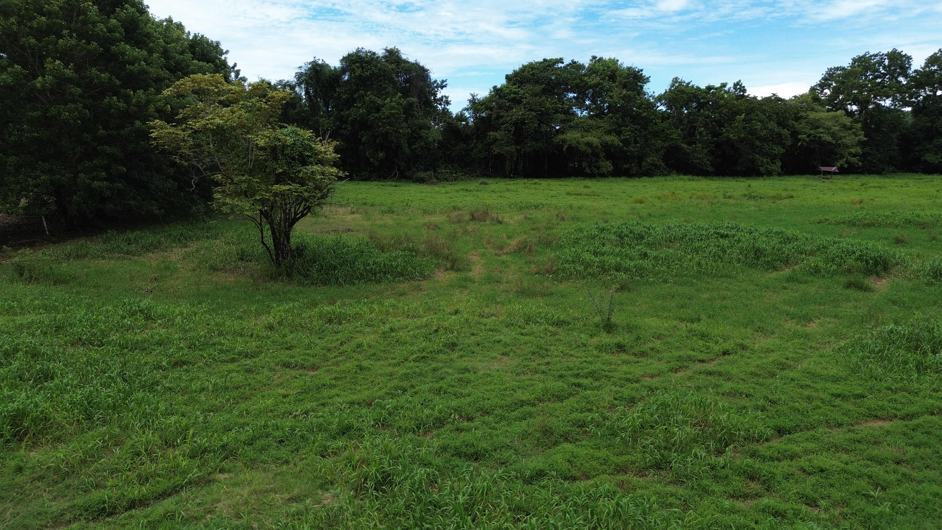 0 bed Land For Sale in Uvita, Puntarenas - thumb 4