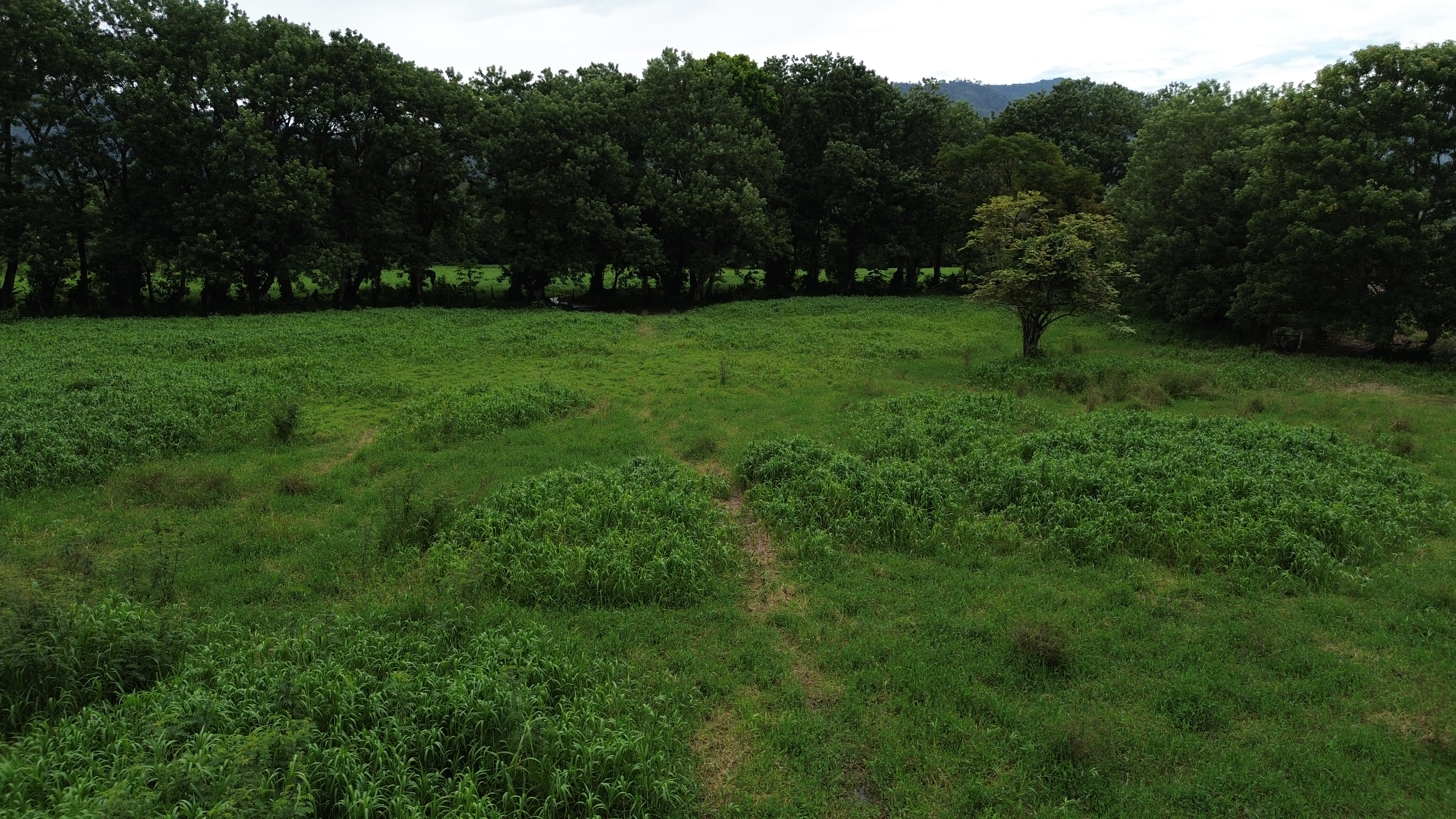 0 bed Land For Sale in Uvita, Puntarenas - thumb 10