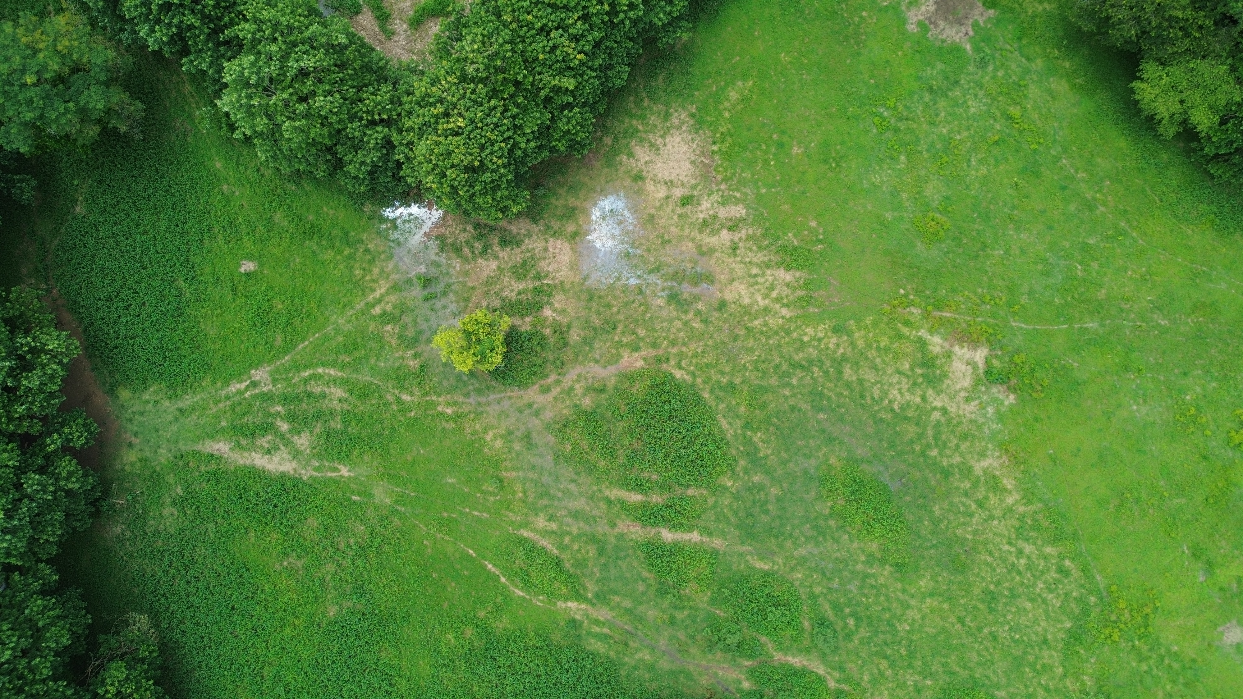 0 bed Land For Sale in Uvita, Puntarenas - thumb 9