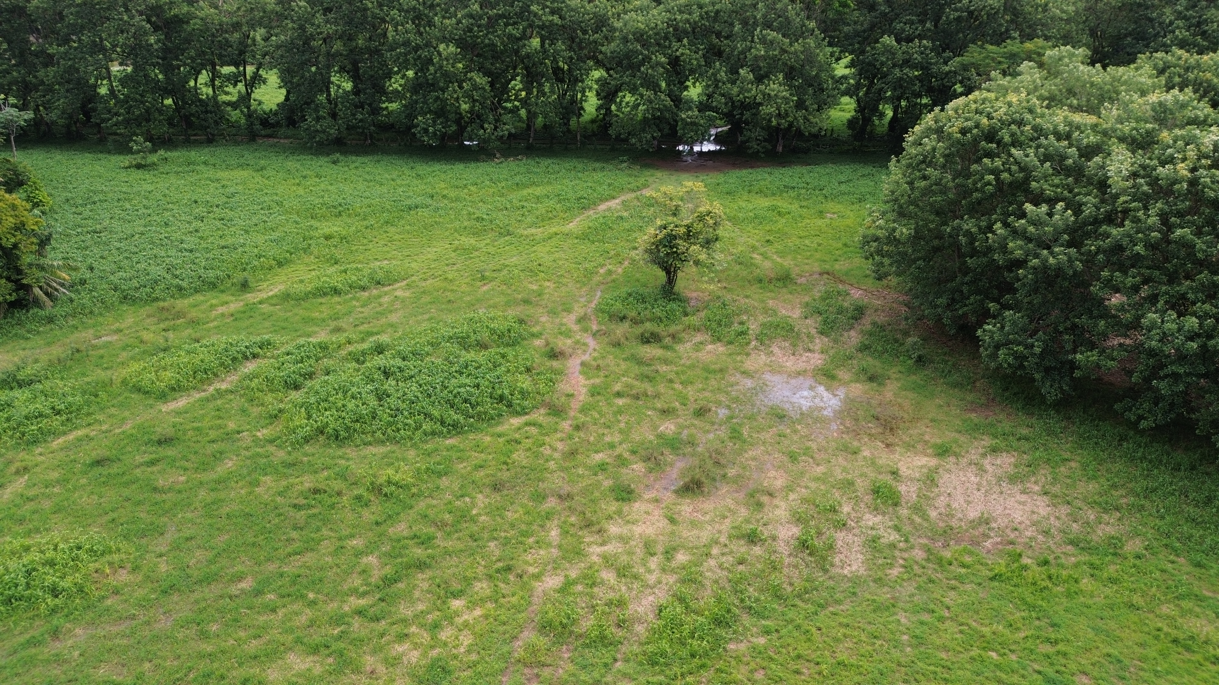 0 bed Land For Sale in Uvita, Puntarenas - thumb 1