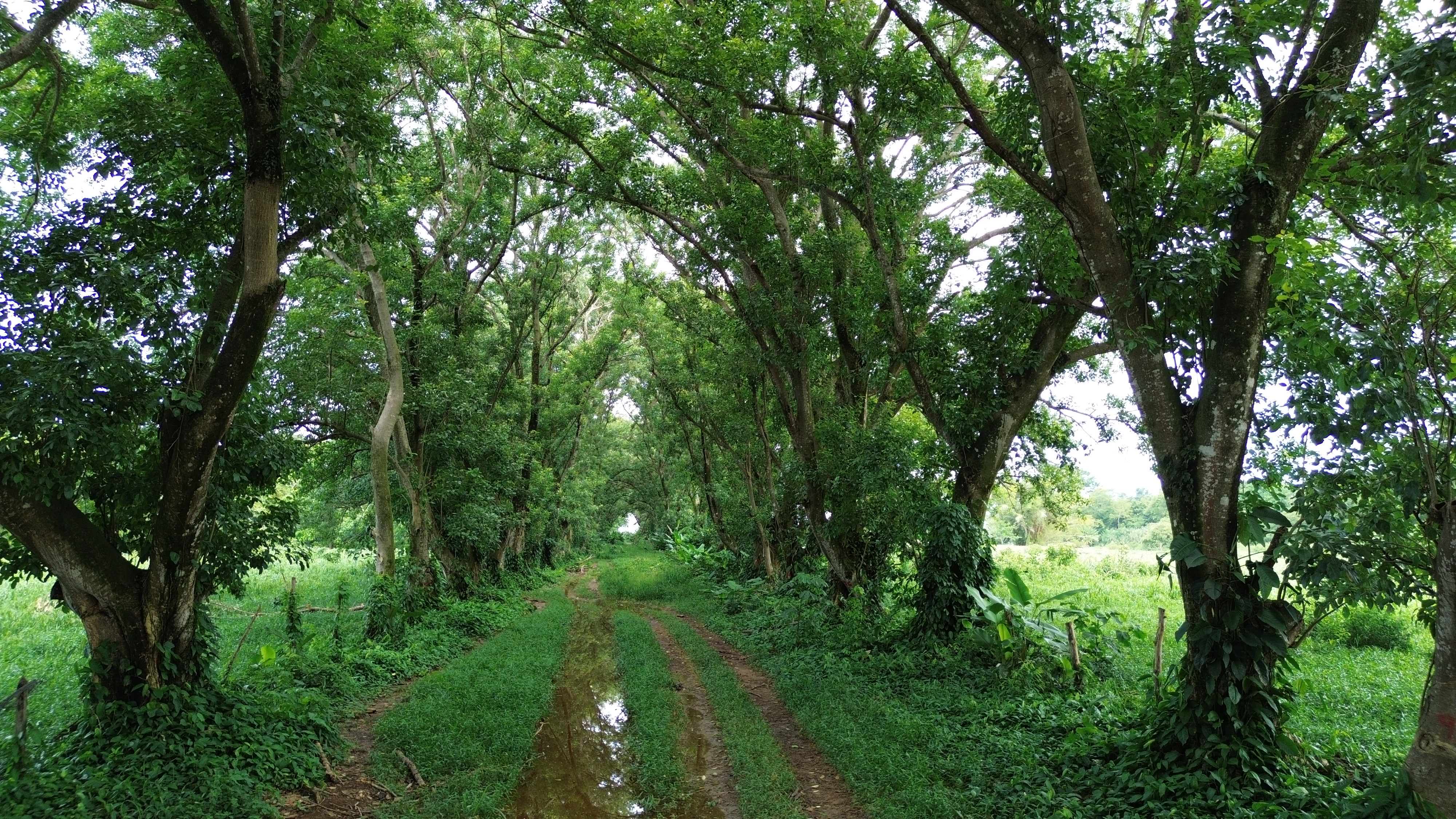 0 bed Land For Sale in Uvita, Puntarenas - thumb 8