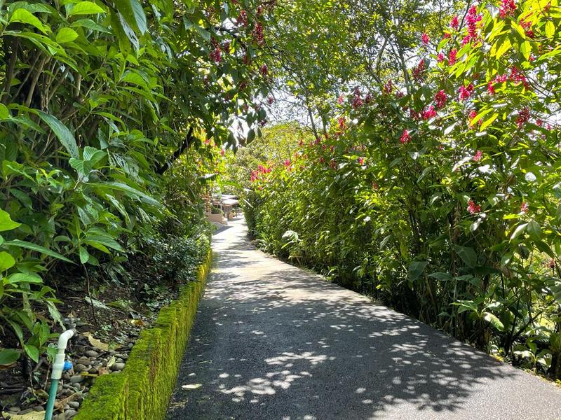 2 bed Single Family Homes For Sale in Grecia, Alajuela - 1