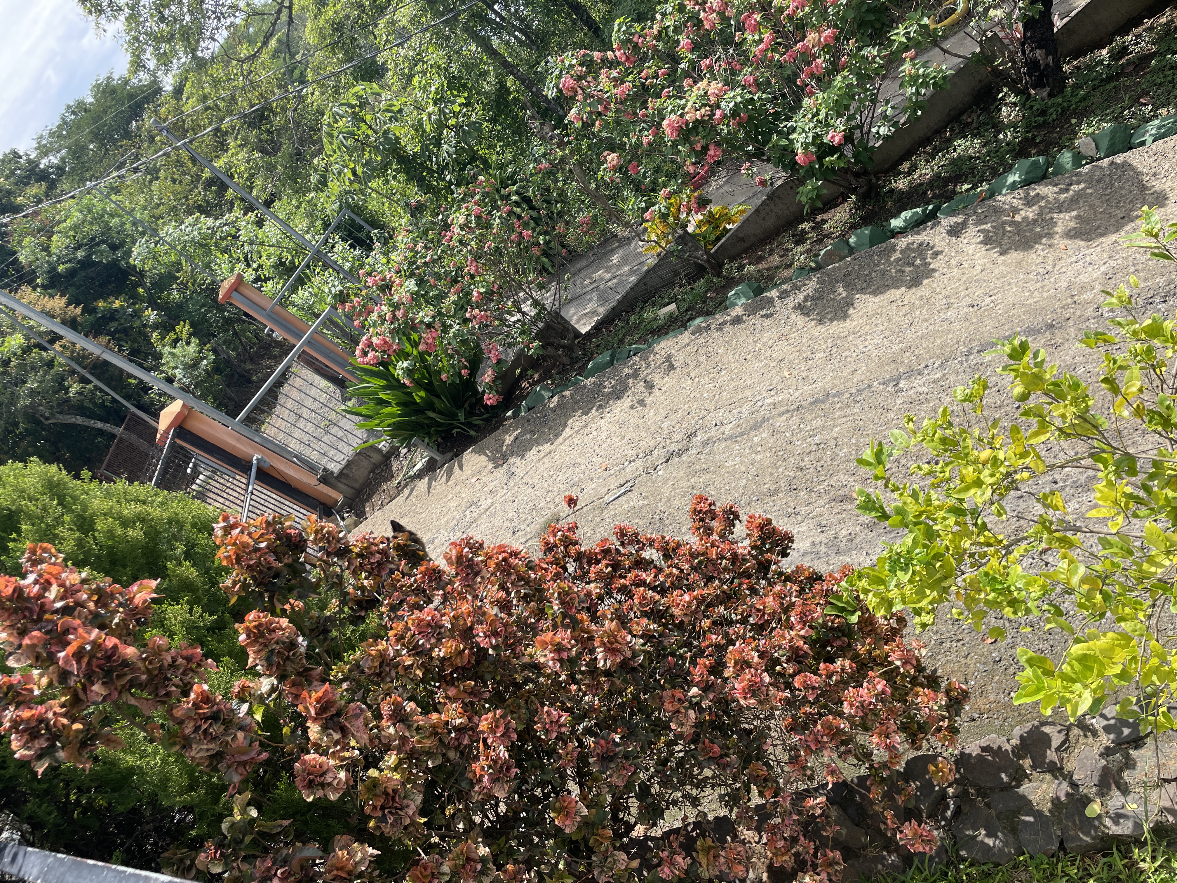 5 bed Single Family Homes For Sale in Atenas, Alajuela - thumb 22