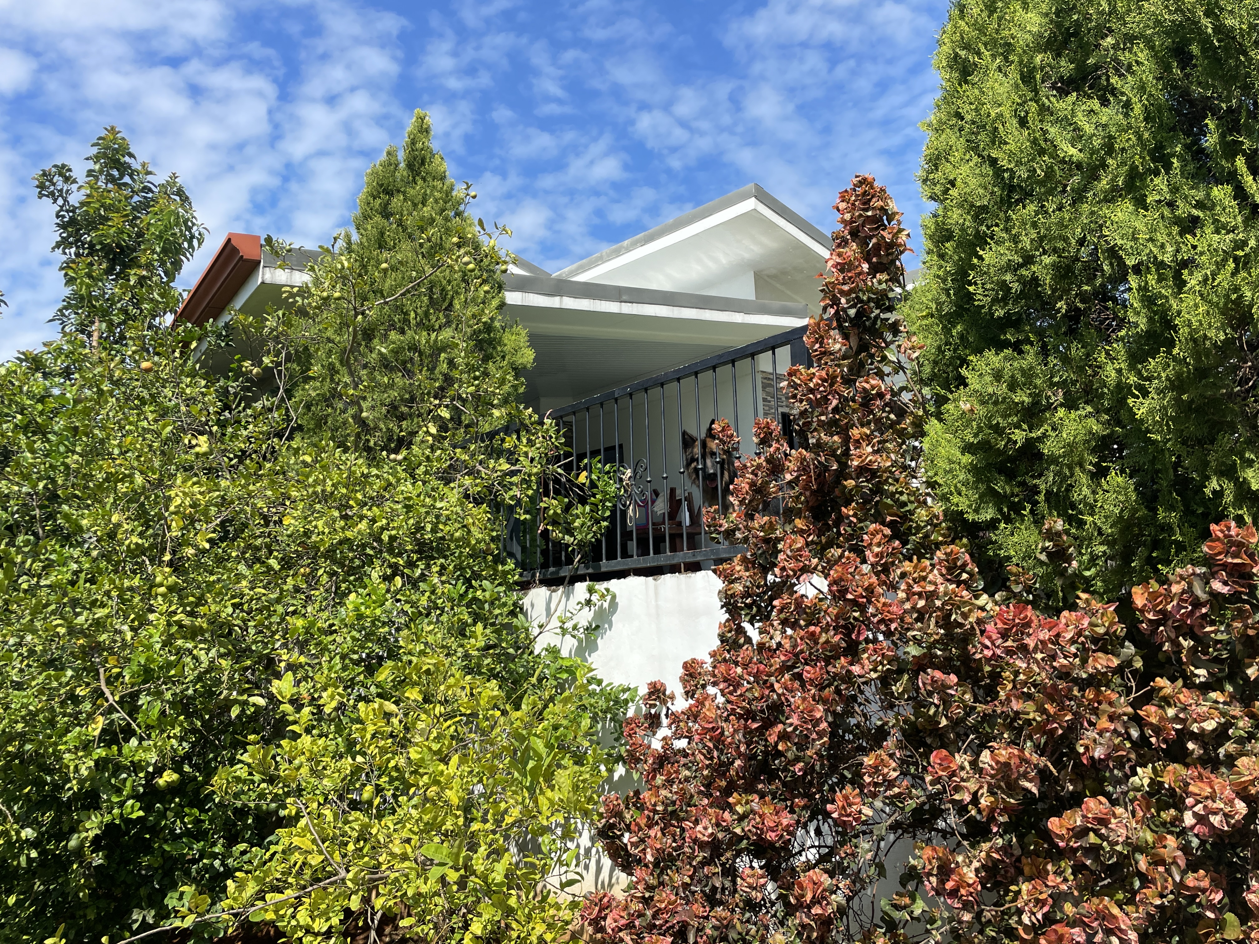 5 bed Single Family Homes For Sale in Atenas, Alajuela - thumb 20