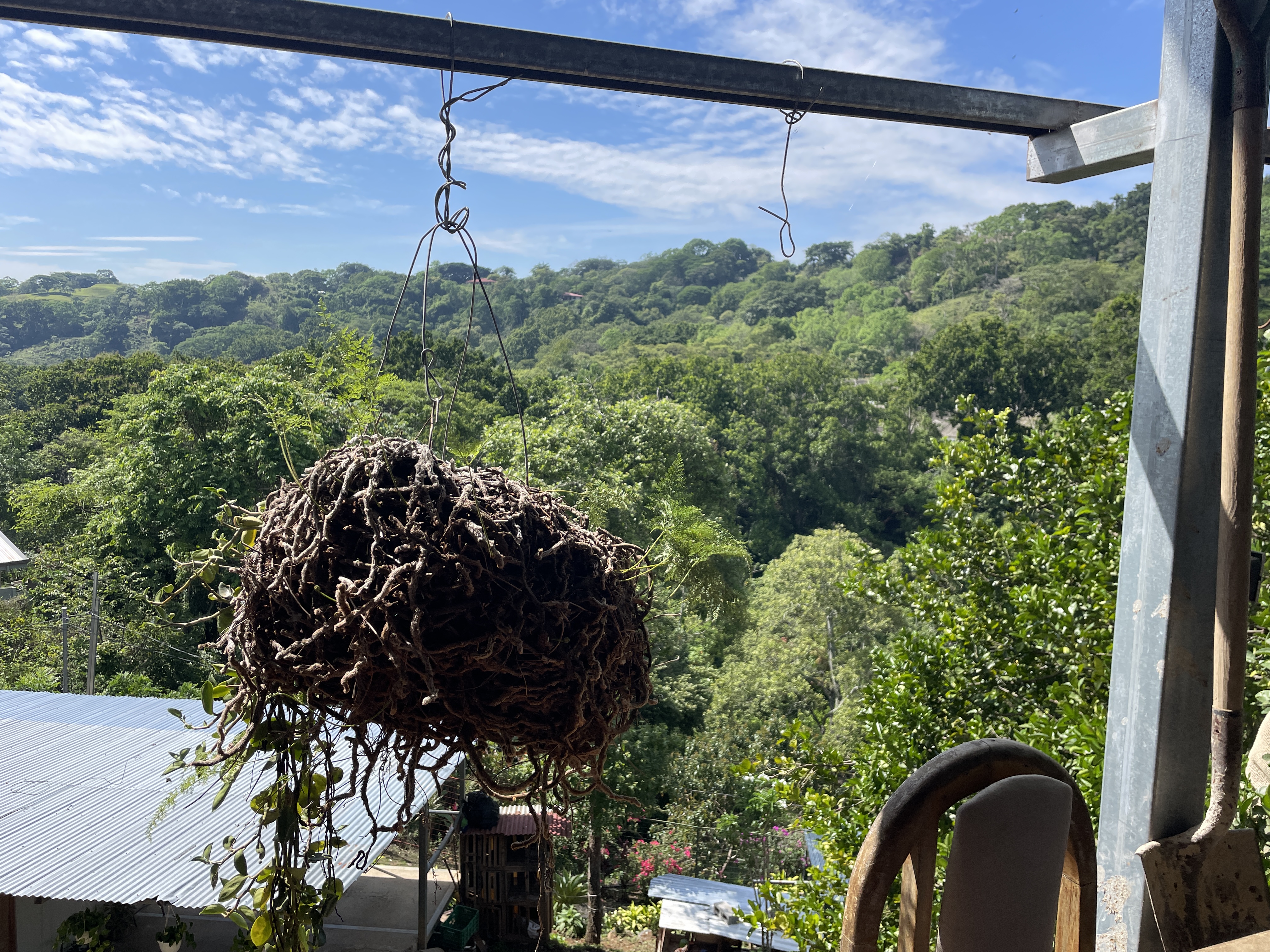 5 bed Single Family Homes For Sale in Atenas, Alajuela - thumb 4