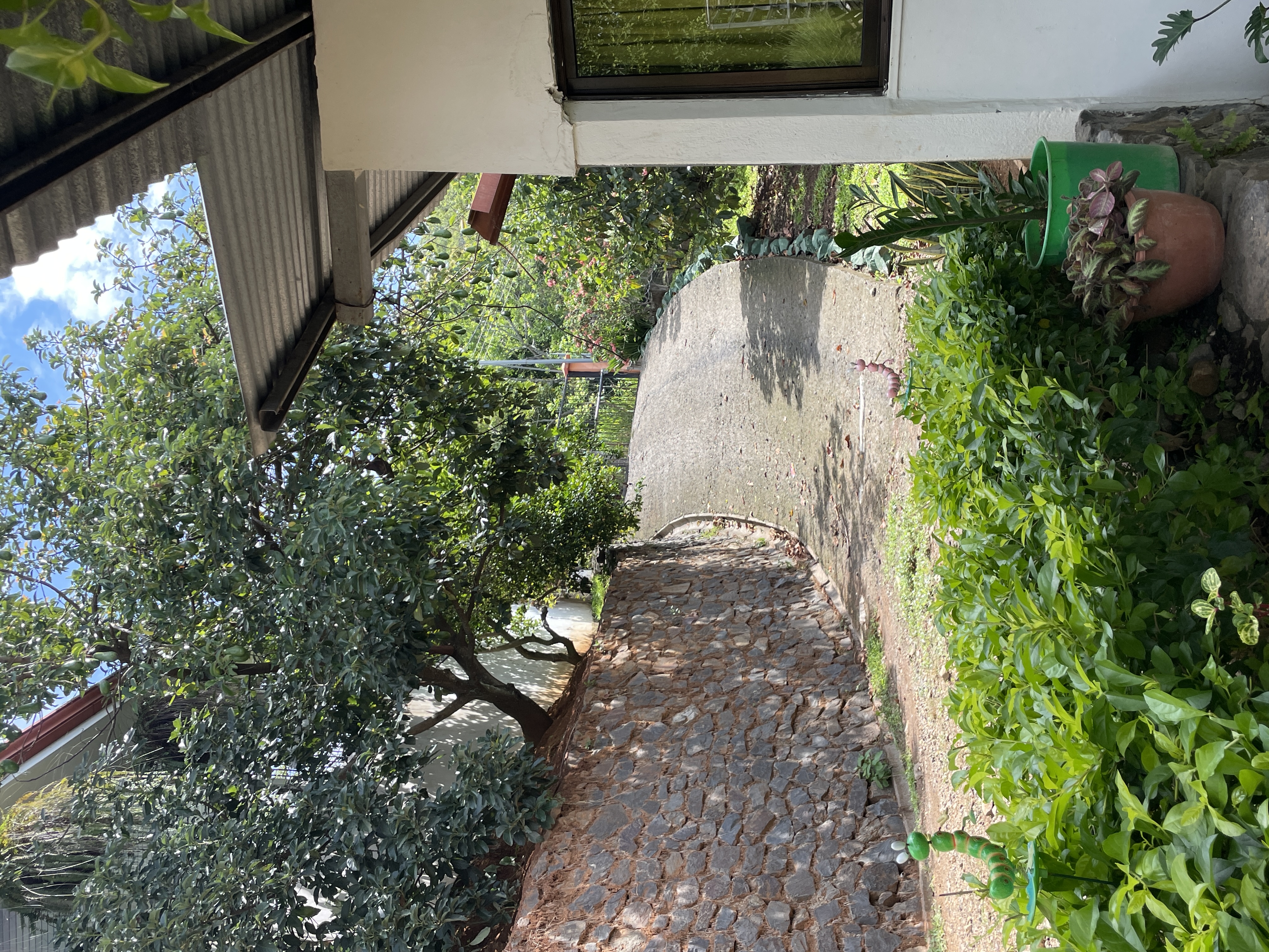 5 bed Single Family Homes For Sale in Atenas, Alajuela - thumb 5