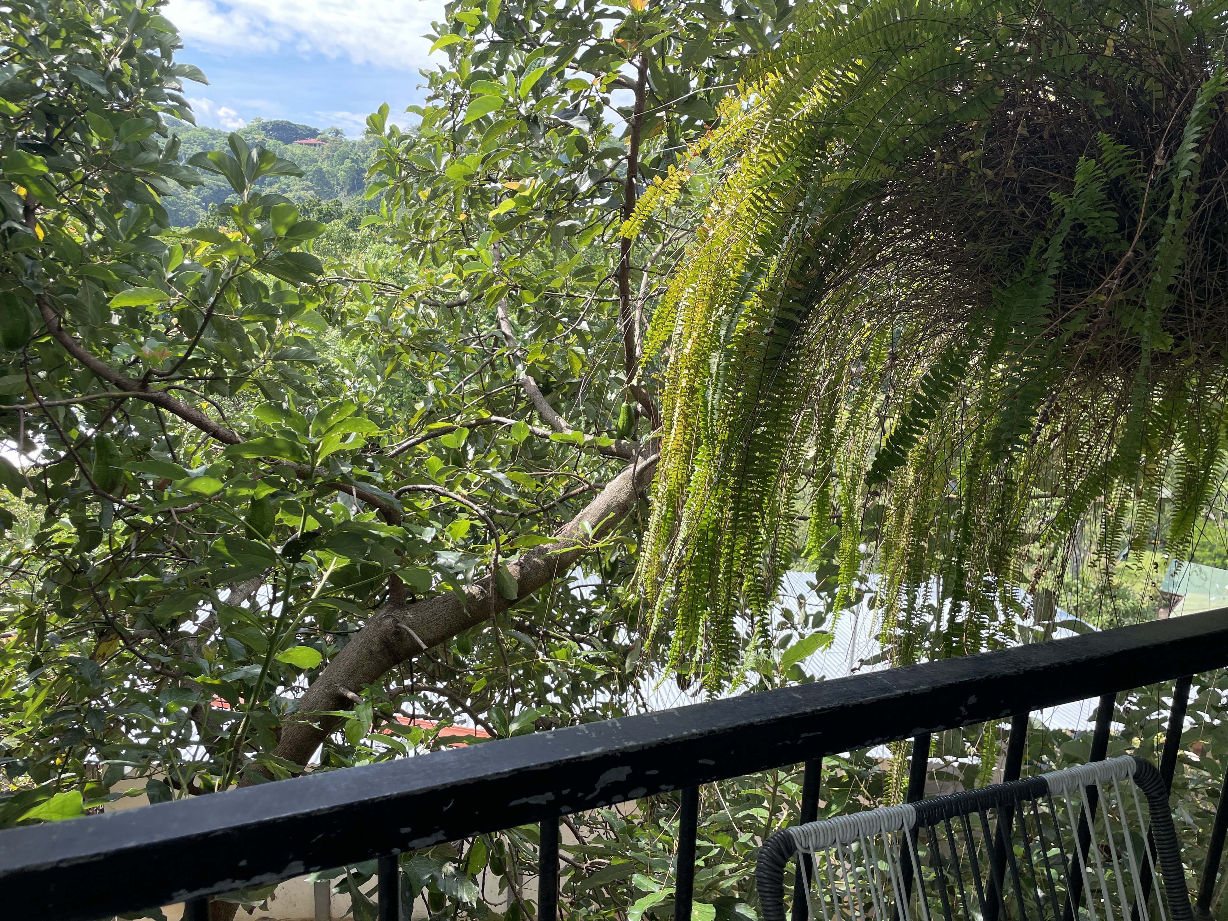 5 bed Single Family Homes For Sale in Atenas, Alajuela - thumb 6