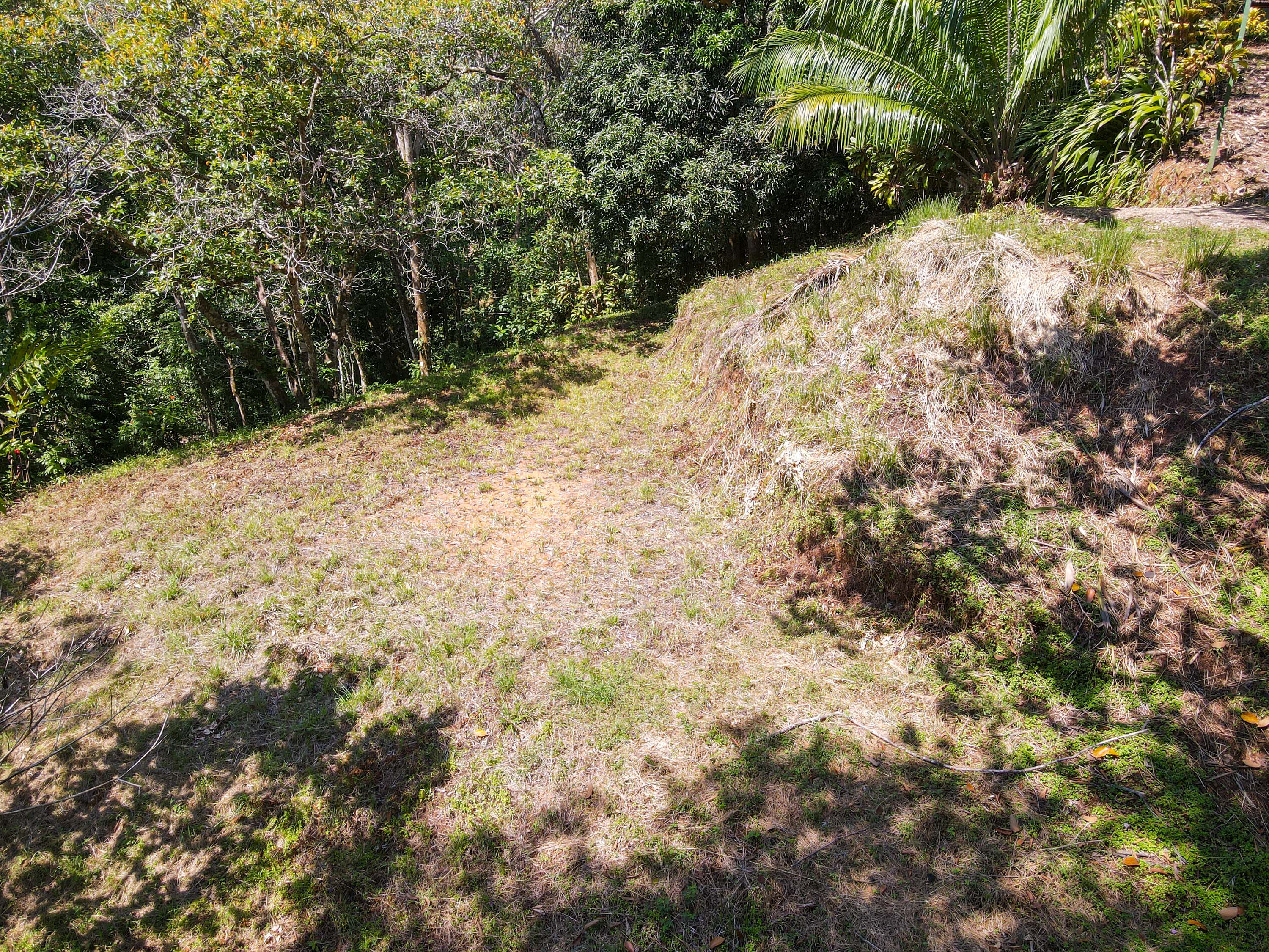 0 bed Land For Sale in Ojochal, Puntarenas - thumb 4