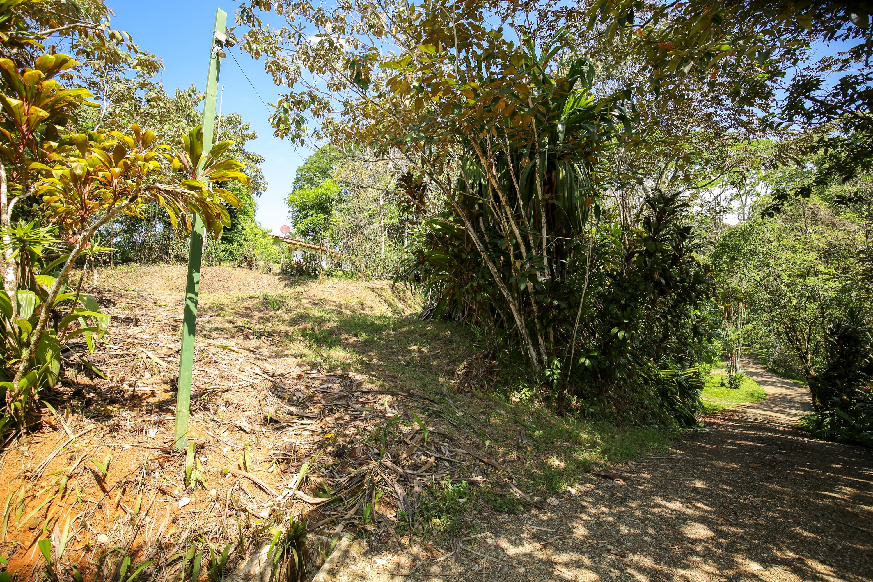0 bed Land For Sale in Ojochal, Puntarenas - thumb 11