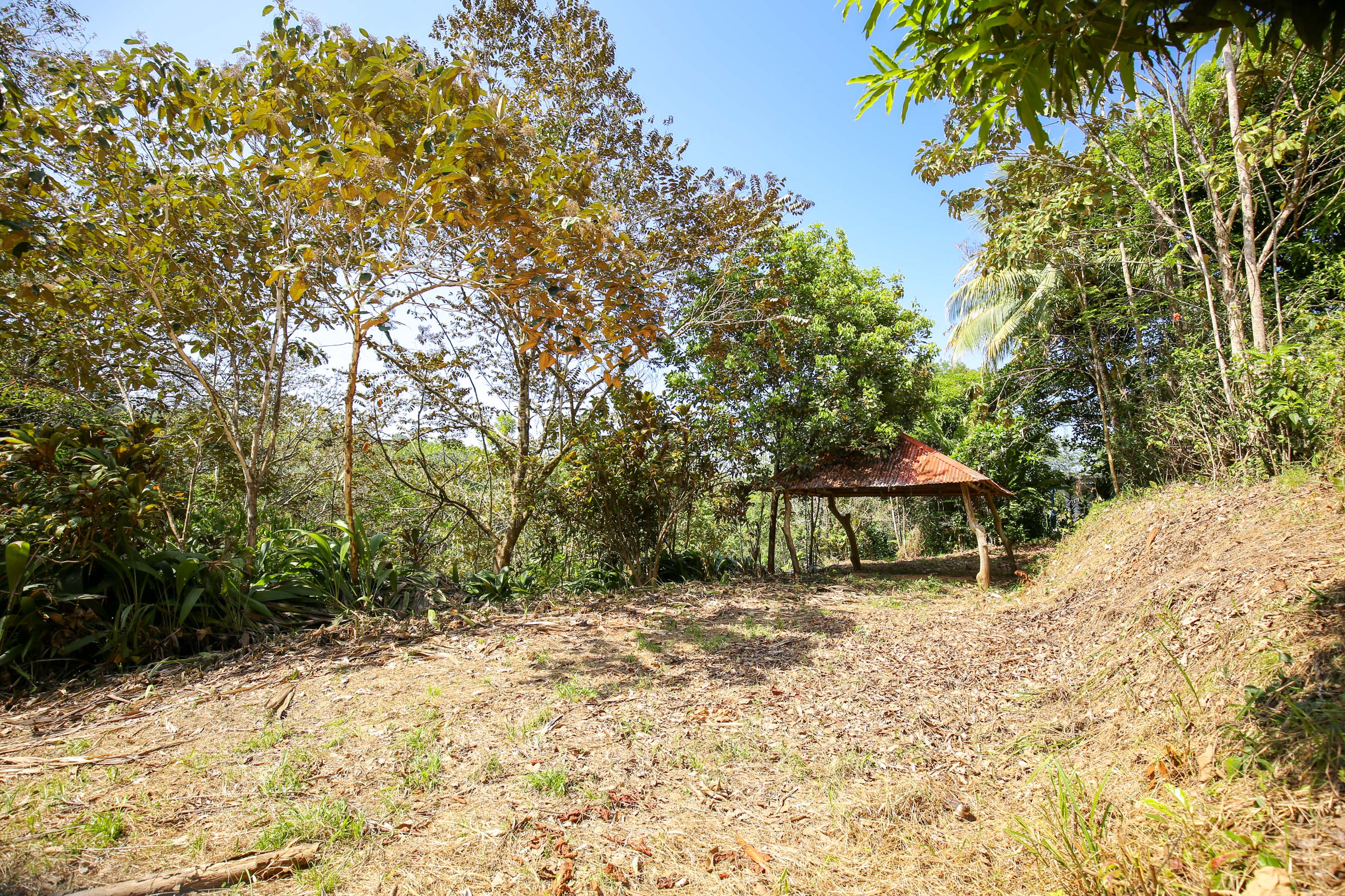 0 bed Land For Sale in Ojochal, Puntarenas - thumb 13