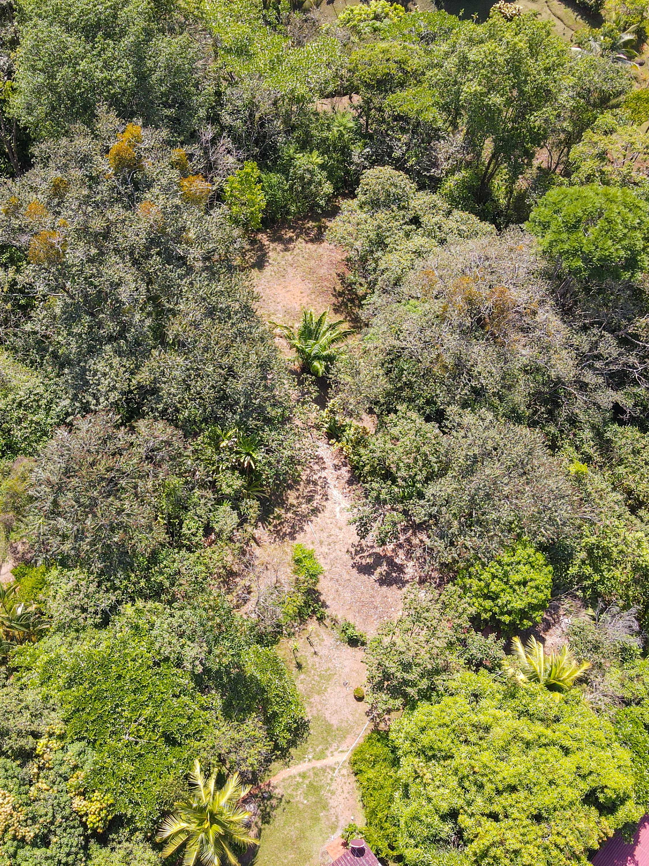 0 bed Land For Sale in Ojochal, Puntarenas - thumb 1
