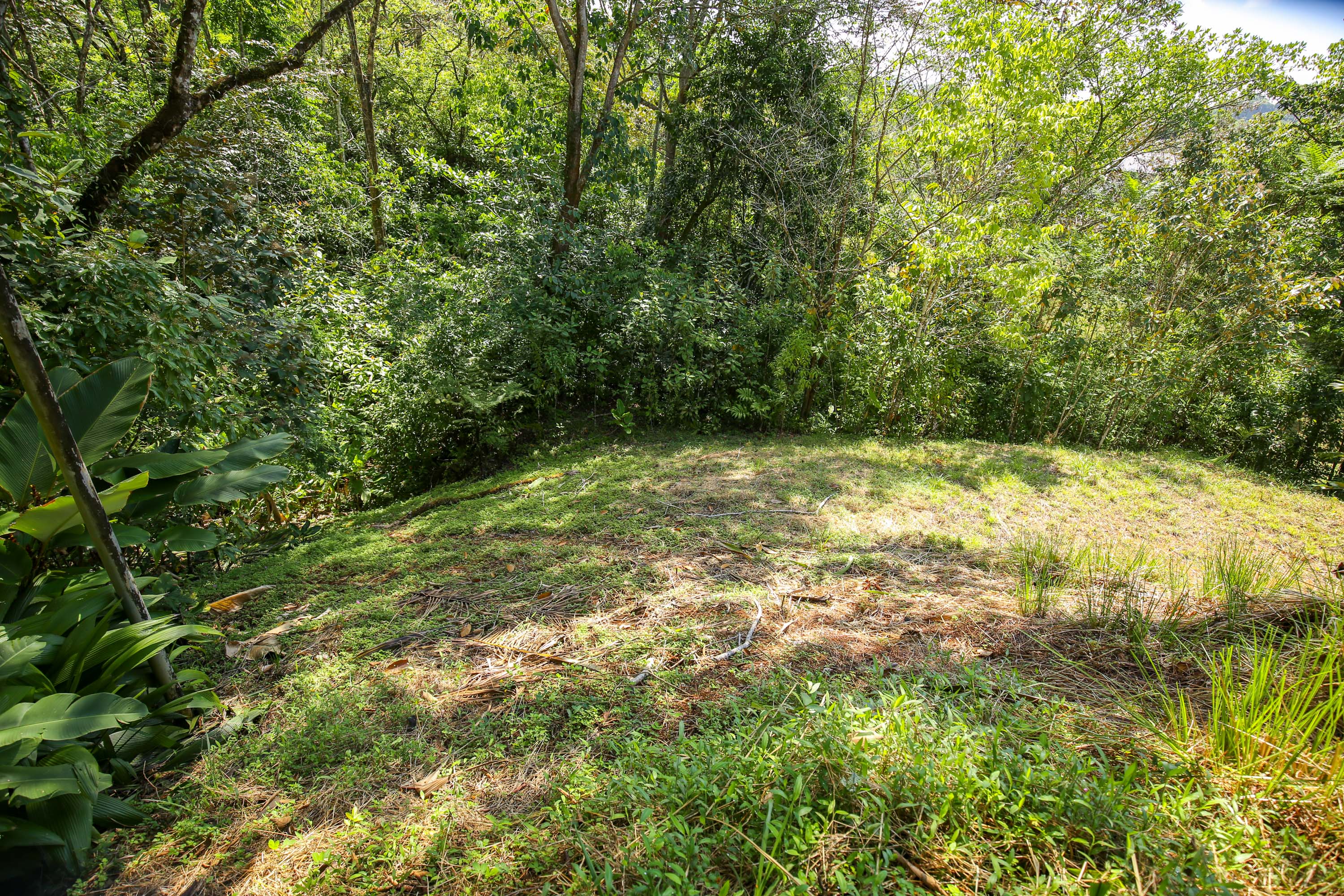 0 bed Land For Sale in Ojochal, Puntarenas - thumb 7