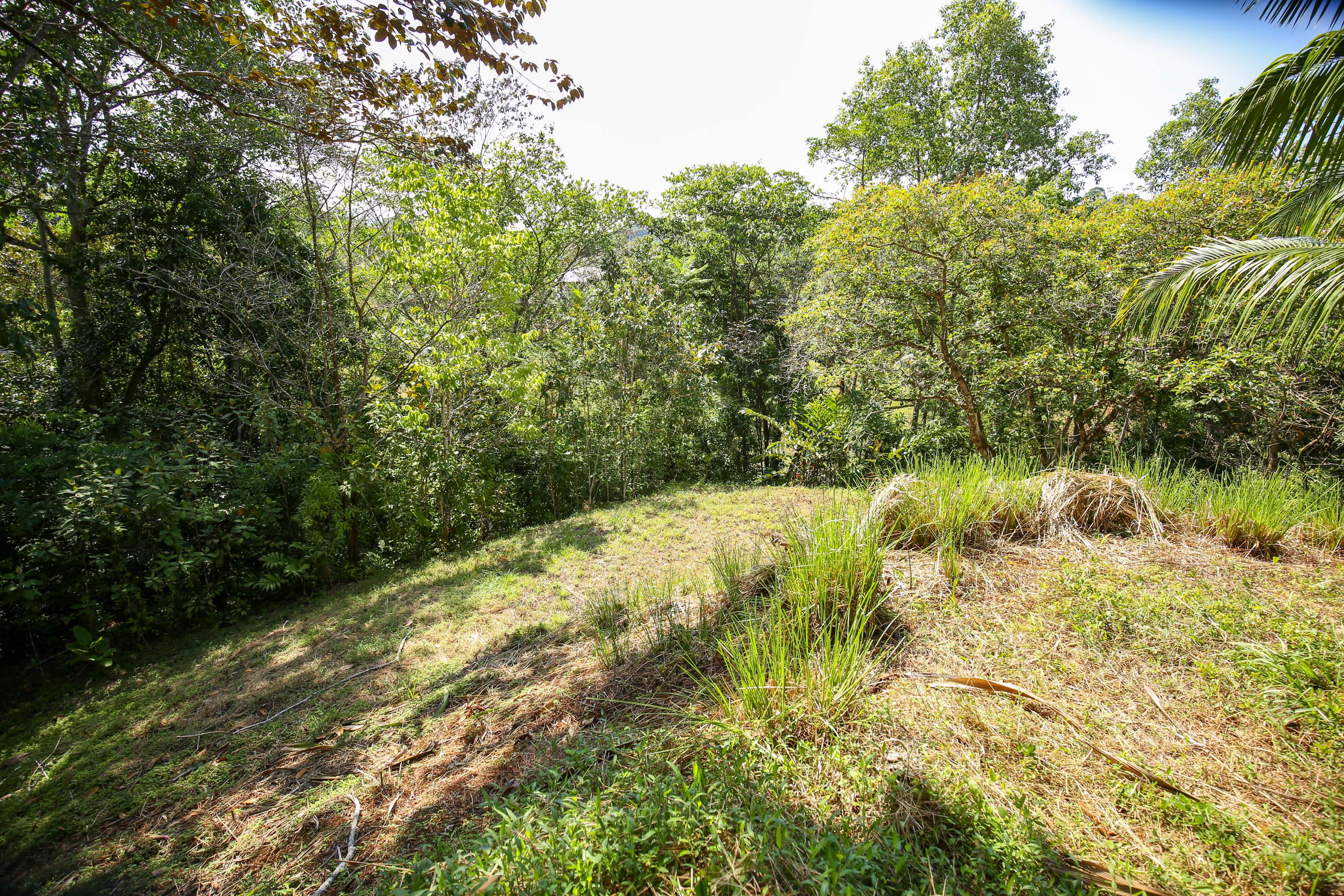 0 bed Land For Sale in Ojochal, Puntarenas - thumb 6