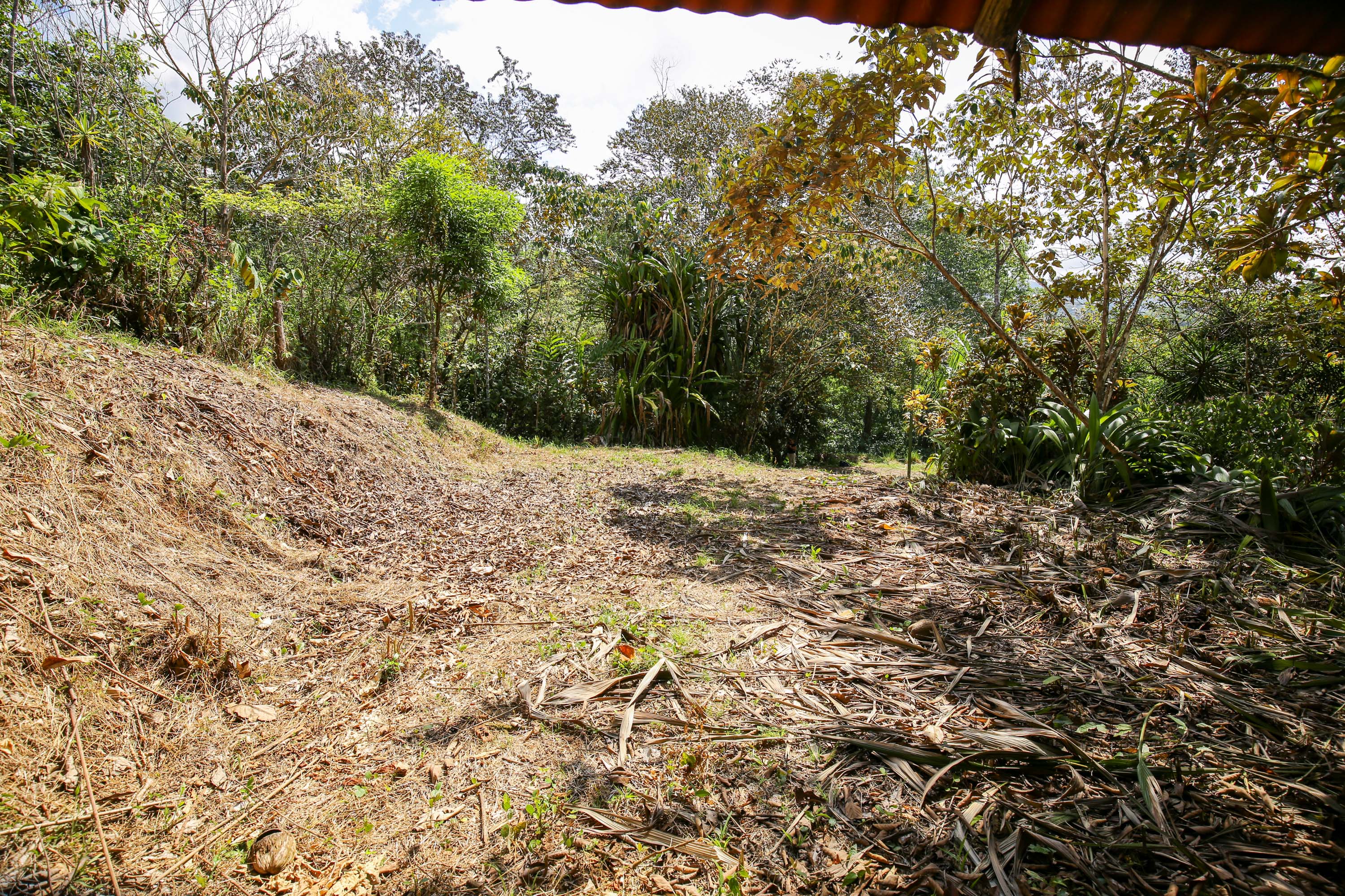 0 bed Land For Sale in Ojochal, Puntarenas - thumb 15