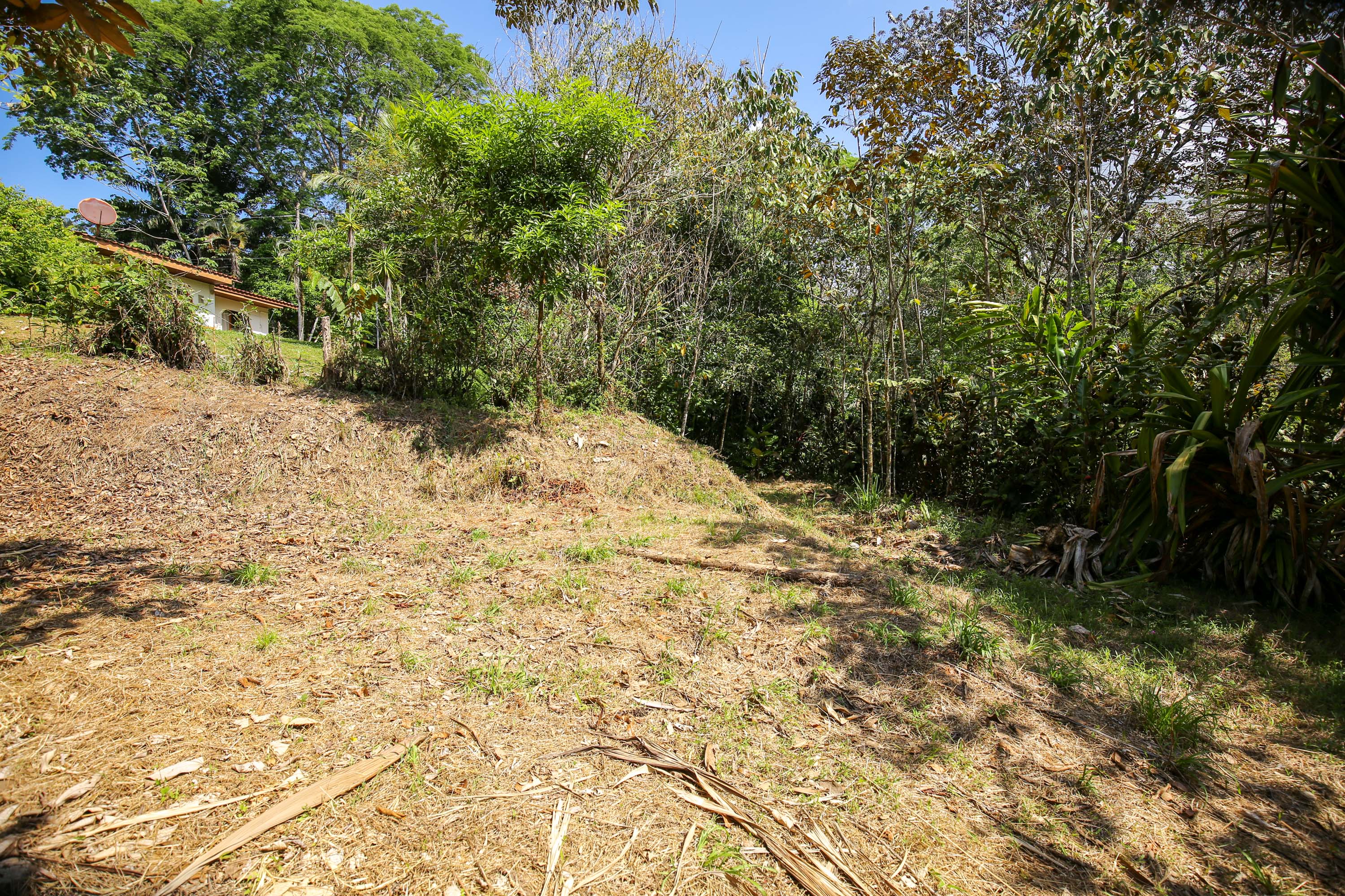 0 bed Land For Sale in Ojochal, Puntarenas - thumb 12