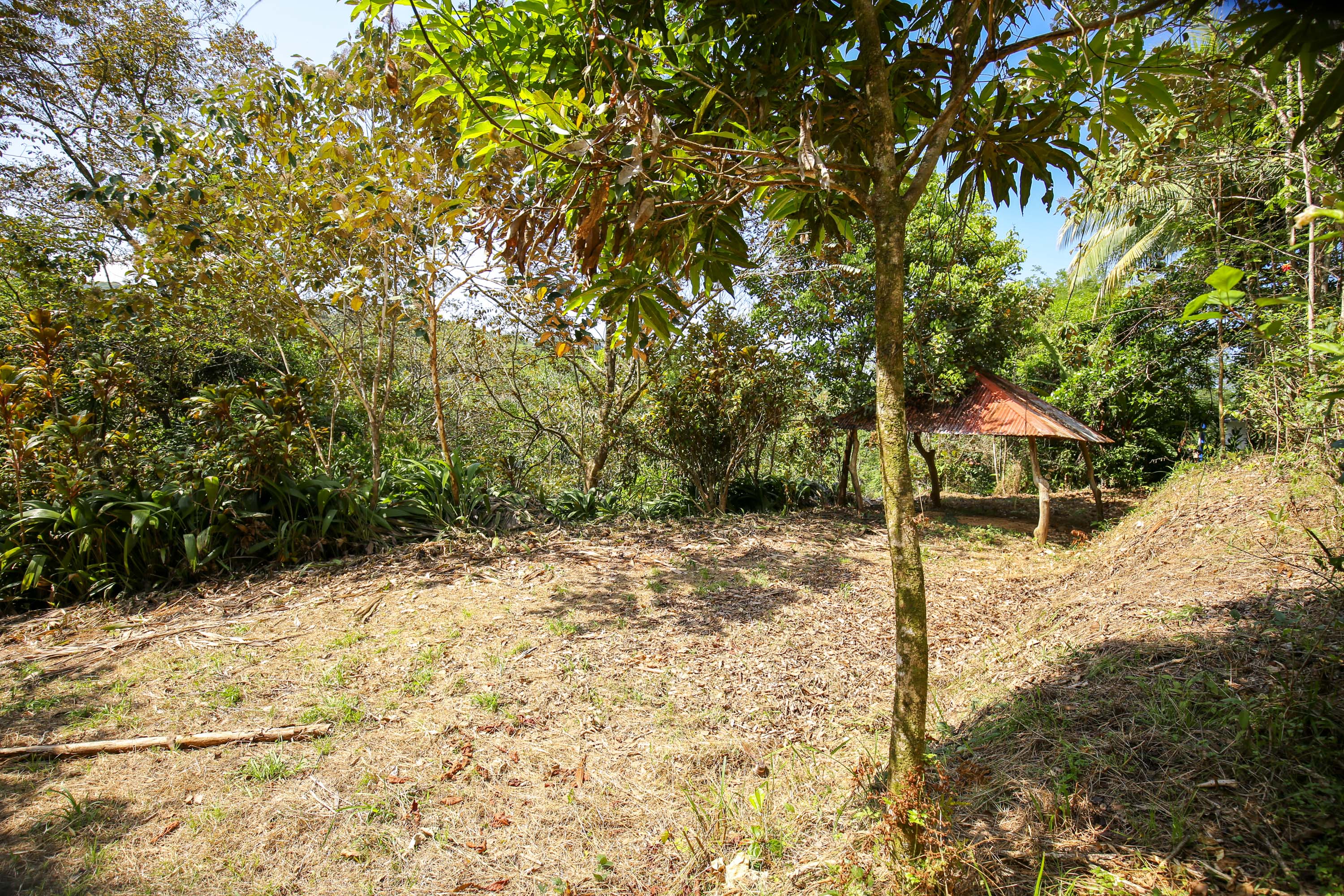 0 bed Land For Sale in Ojochal, Puntarenas - thumb 14