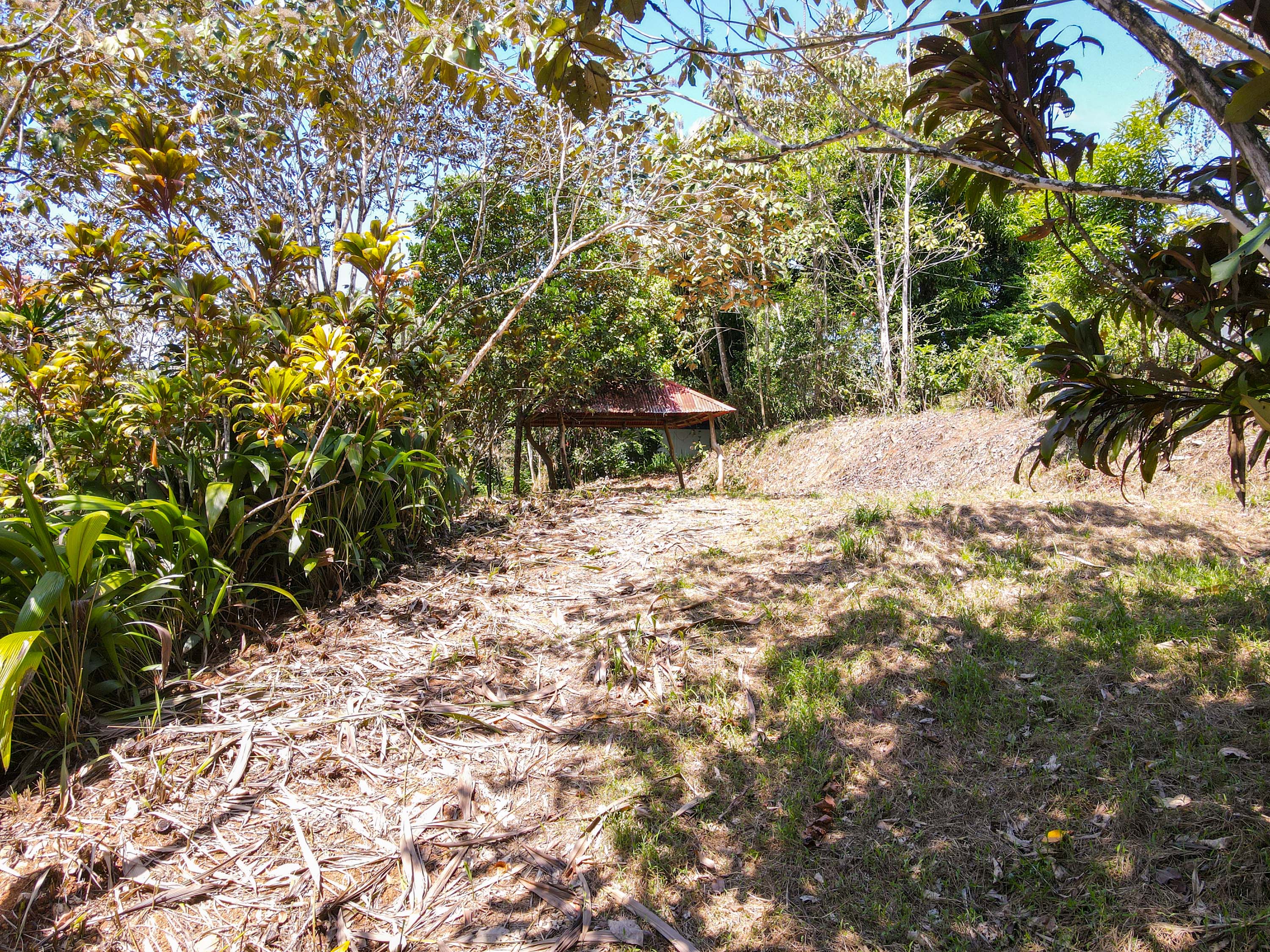 0 bed Land For Sale in Ojochal, Puntarenas - thumb 5
