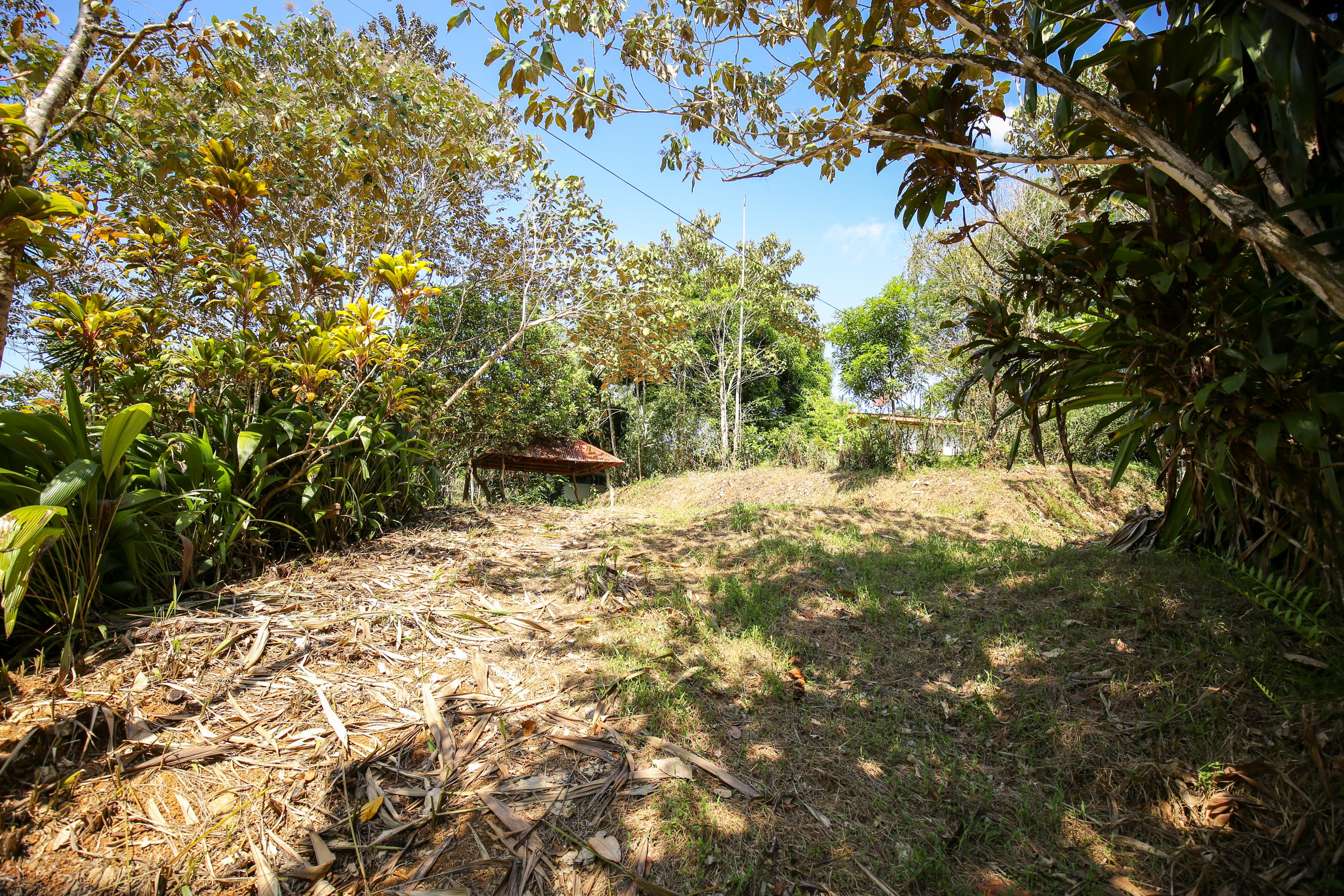 0 bed Land For Sale in Ojochal, Puntarenas - thumb 9