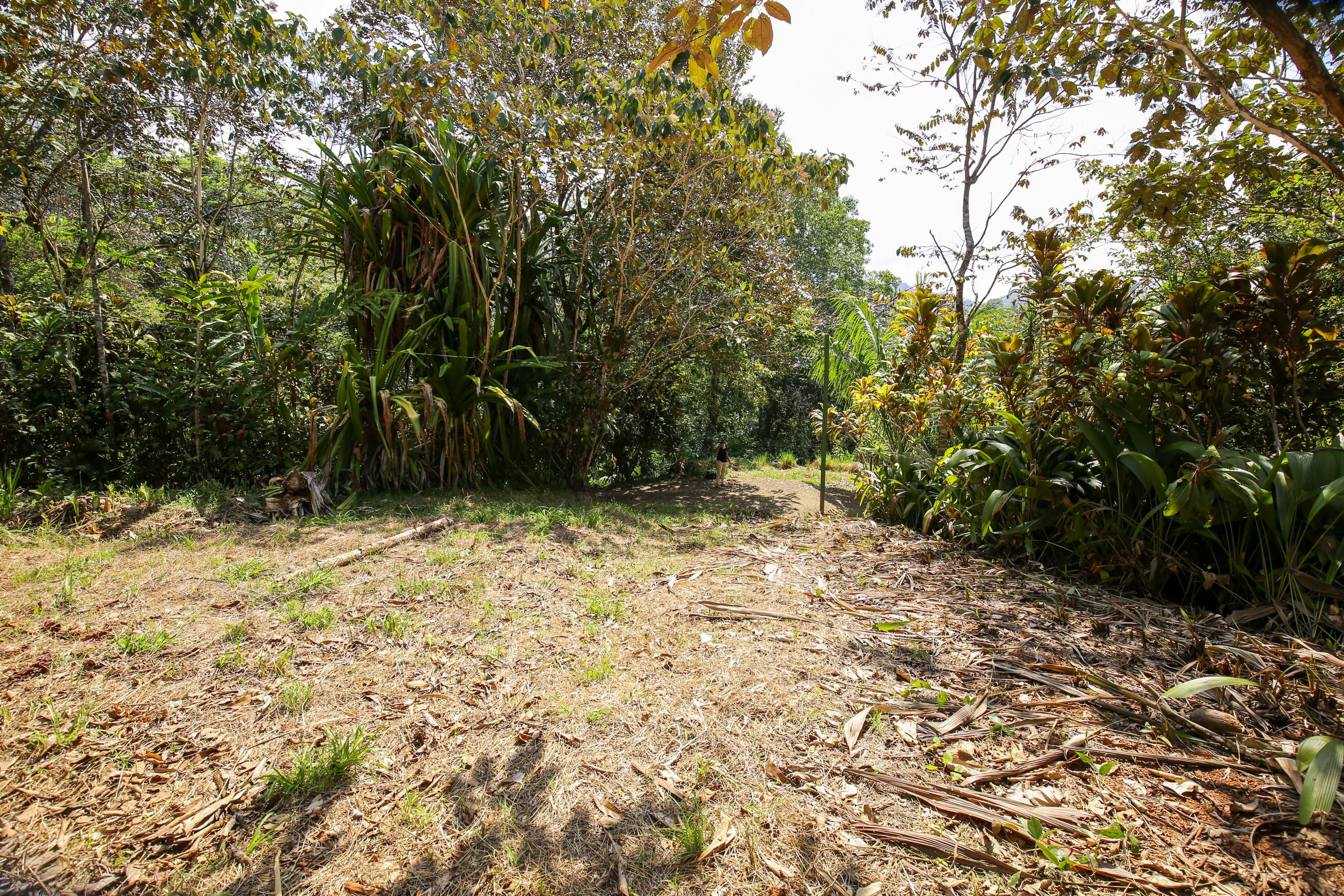 0 bed Land For Sale in Ojochal, Puntarenas - thumb 16