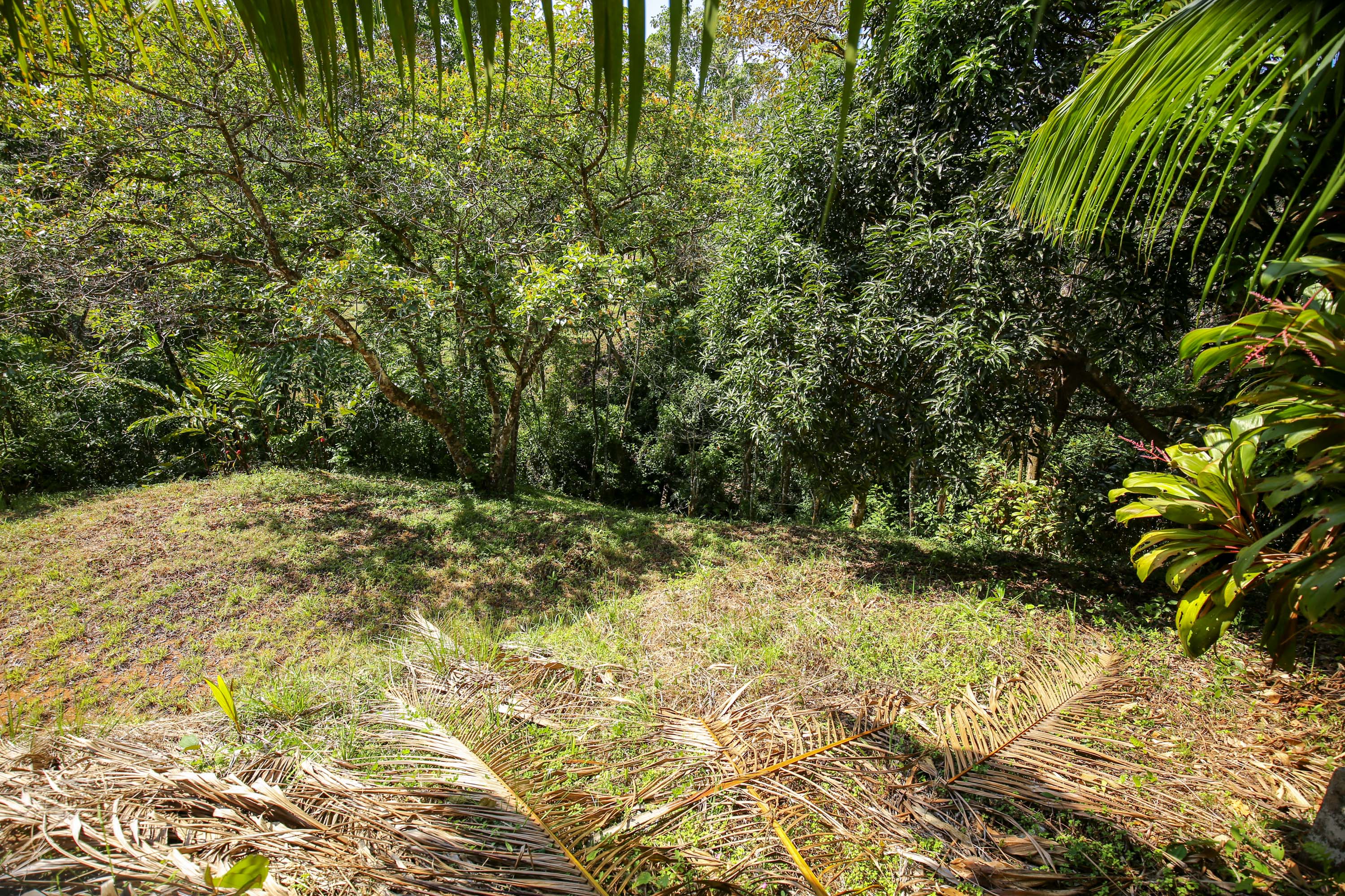 0 bed Land For Sale in Ojochal, Puntarenas - thumb 8
