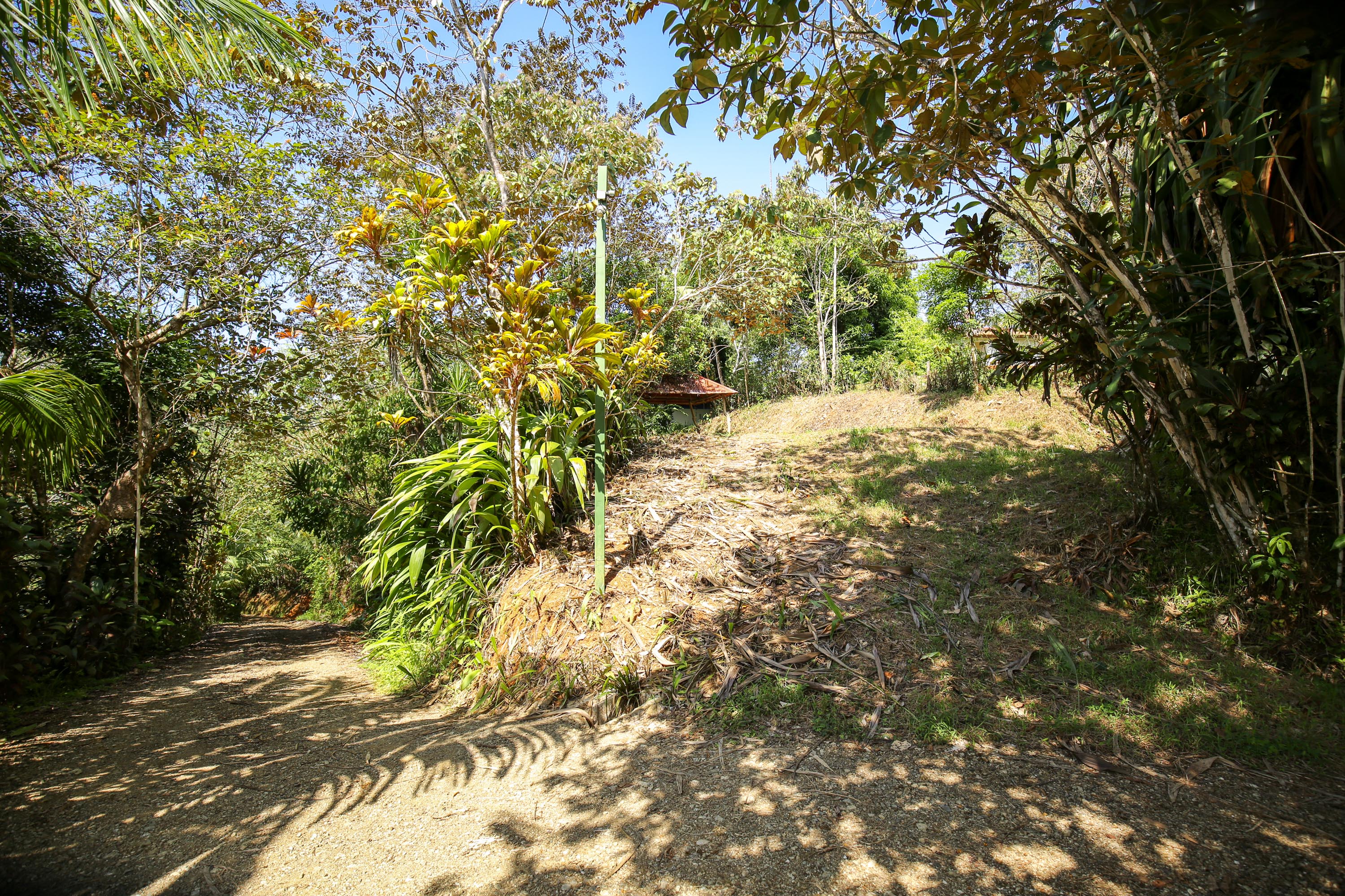 0 bed Land For Sale in Ojochal, Puntarenas - thumb 10