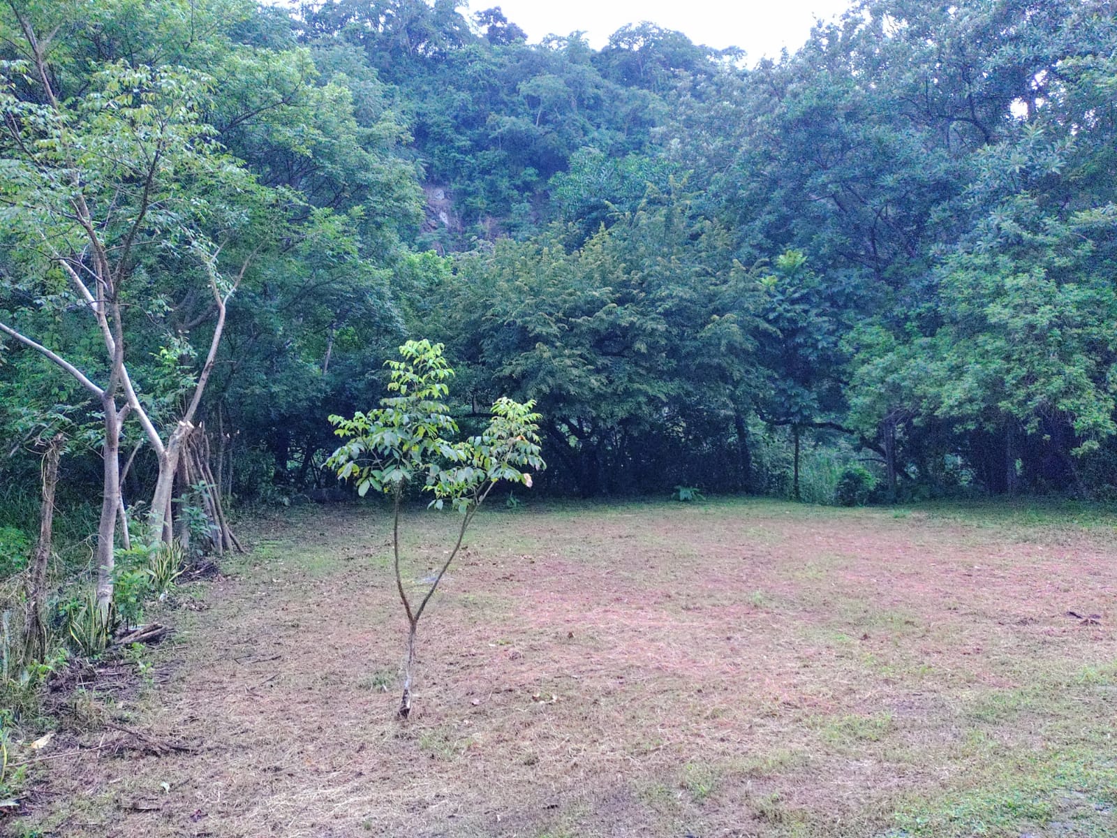 0 bed Land For Sale in Atenas, Alajuela - thumb 1