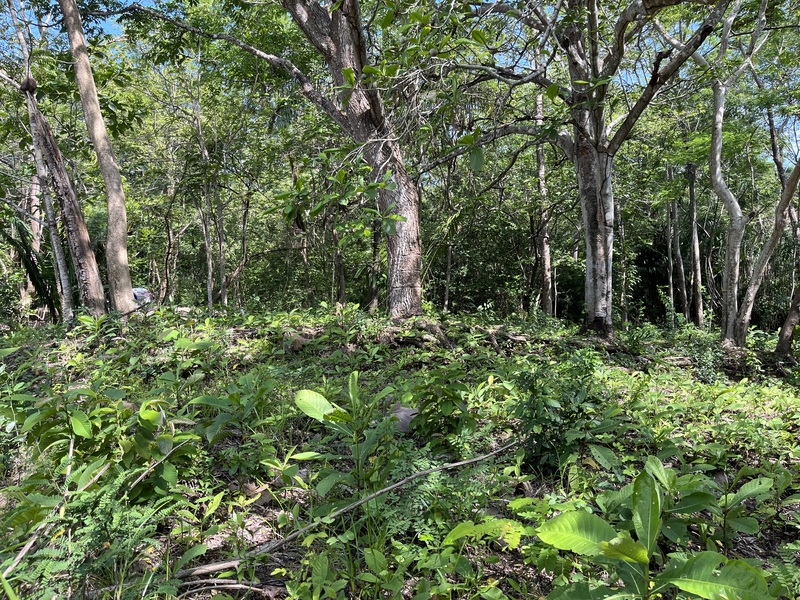 0 bed Land For Sale in Samara, Guanacaste - 1