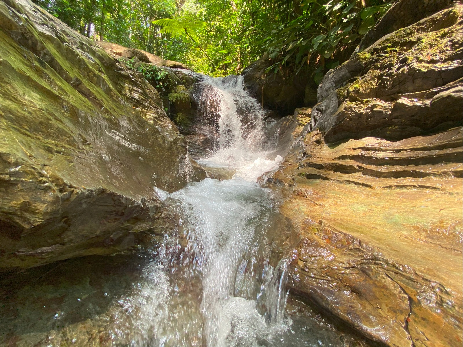 0 bed Land For Sale in Golfito, Puntarenas - thumb 27