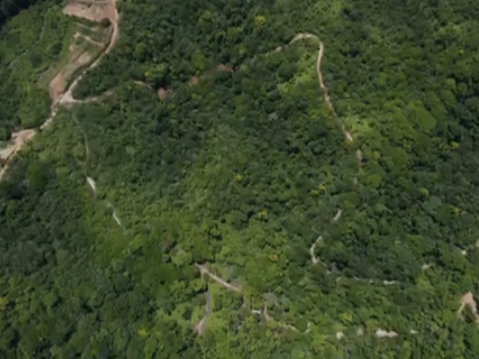 0 bed Land For Sale in Golfito, Puntarenas - thumb 11