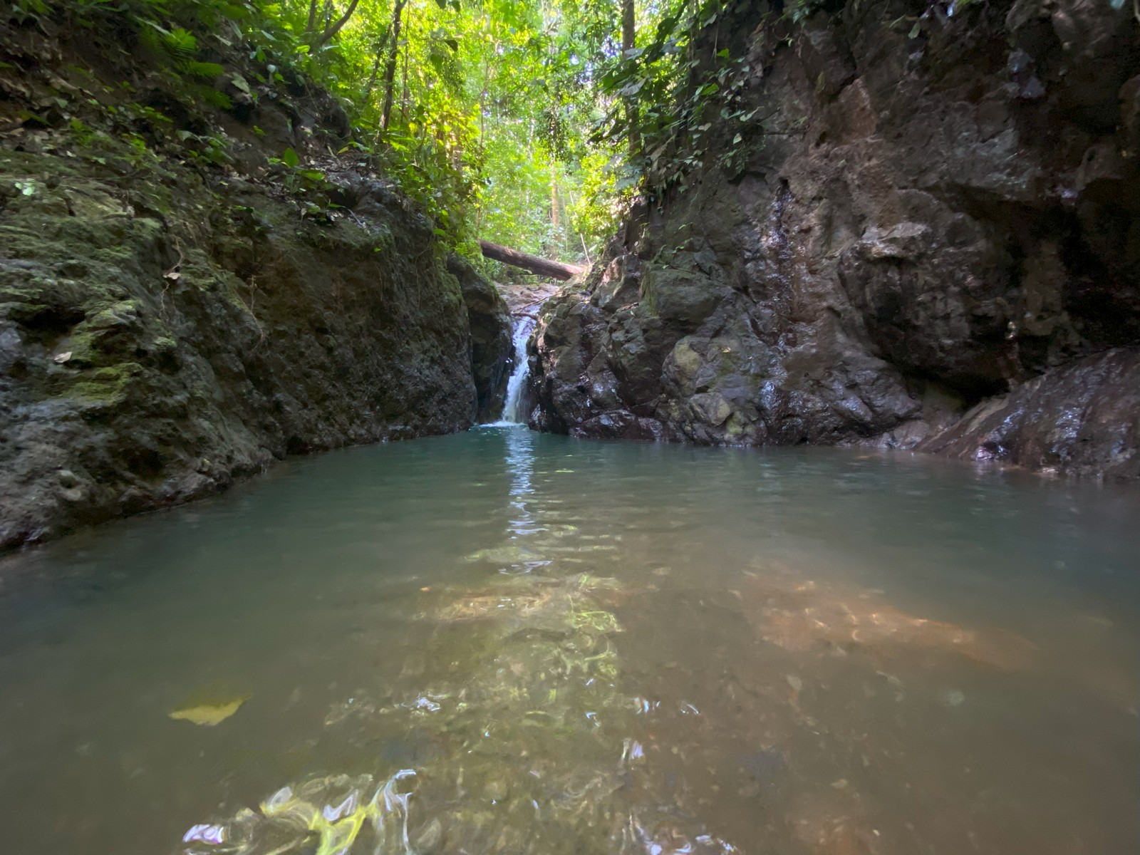 0 bed Land For Sale in Golfito, Puntarenas - thumb 30