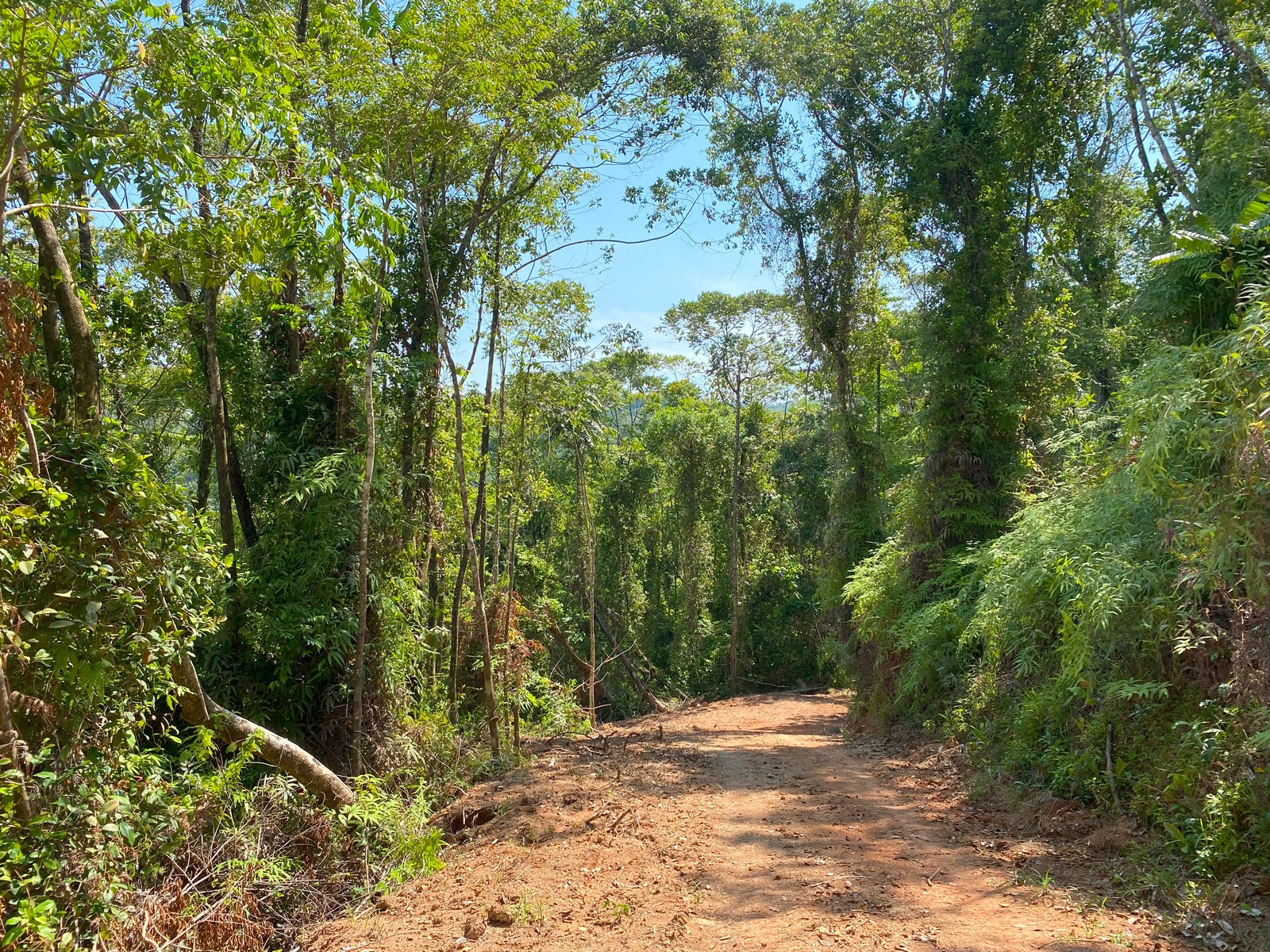 0 bed Land For Sale in Golfito, Puntarenas - thumb 25