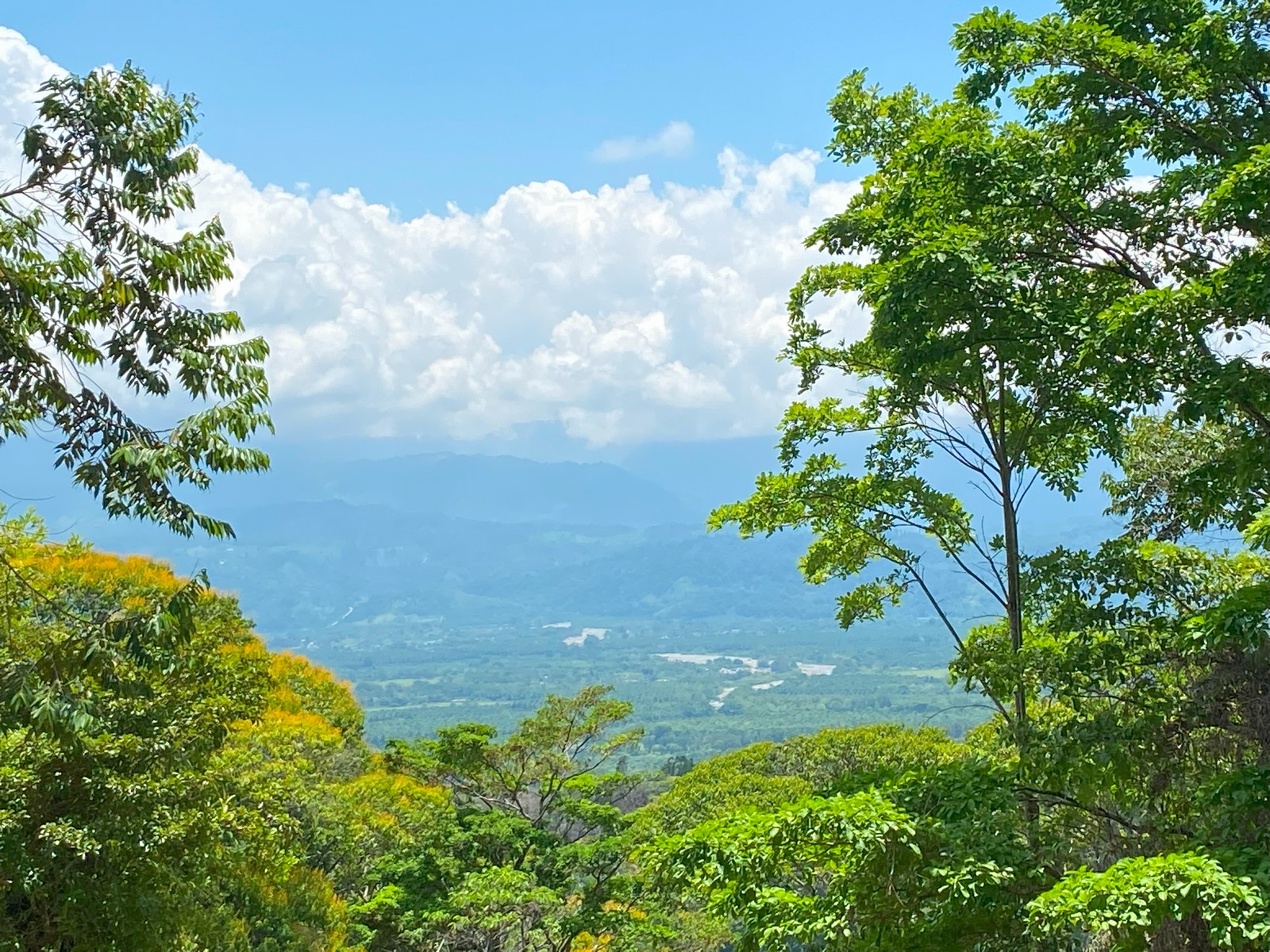 0 bed Land For Sale in Golfito, Puntarenas - thumb 7