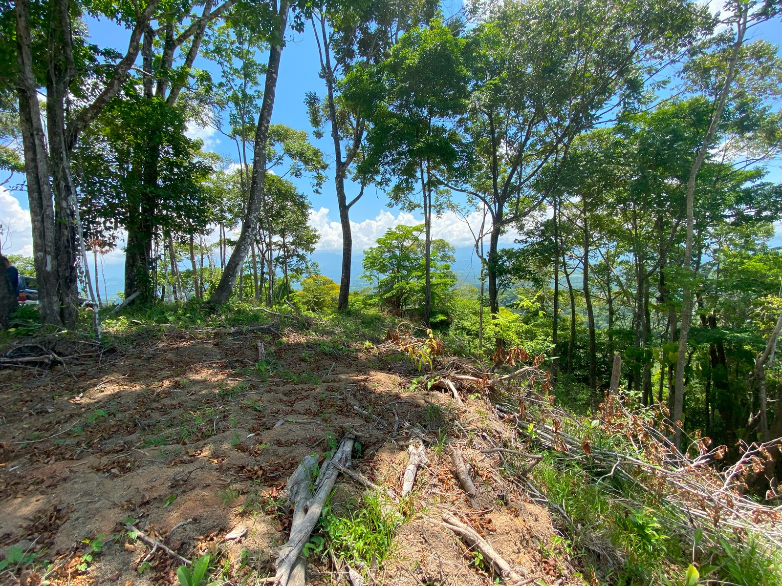 0 bed Land For Sale in Golfito, Puntarenas - thumb 19