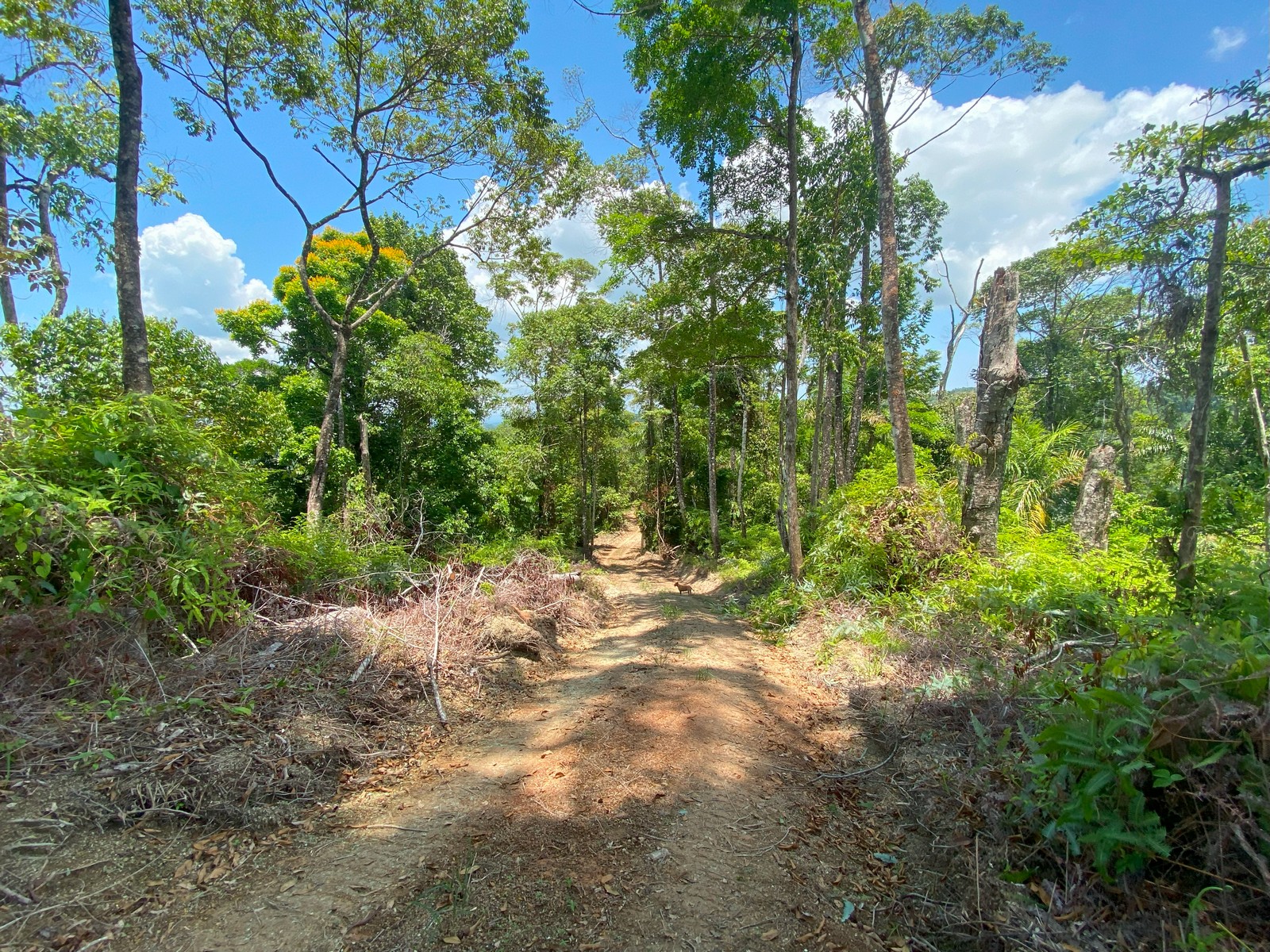 0 bed Land For Sale in Golfito, Puntarenas - thumb 24