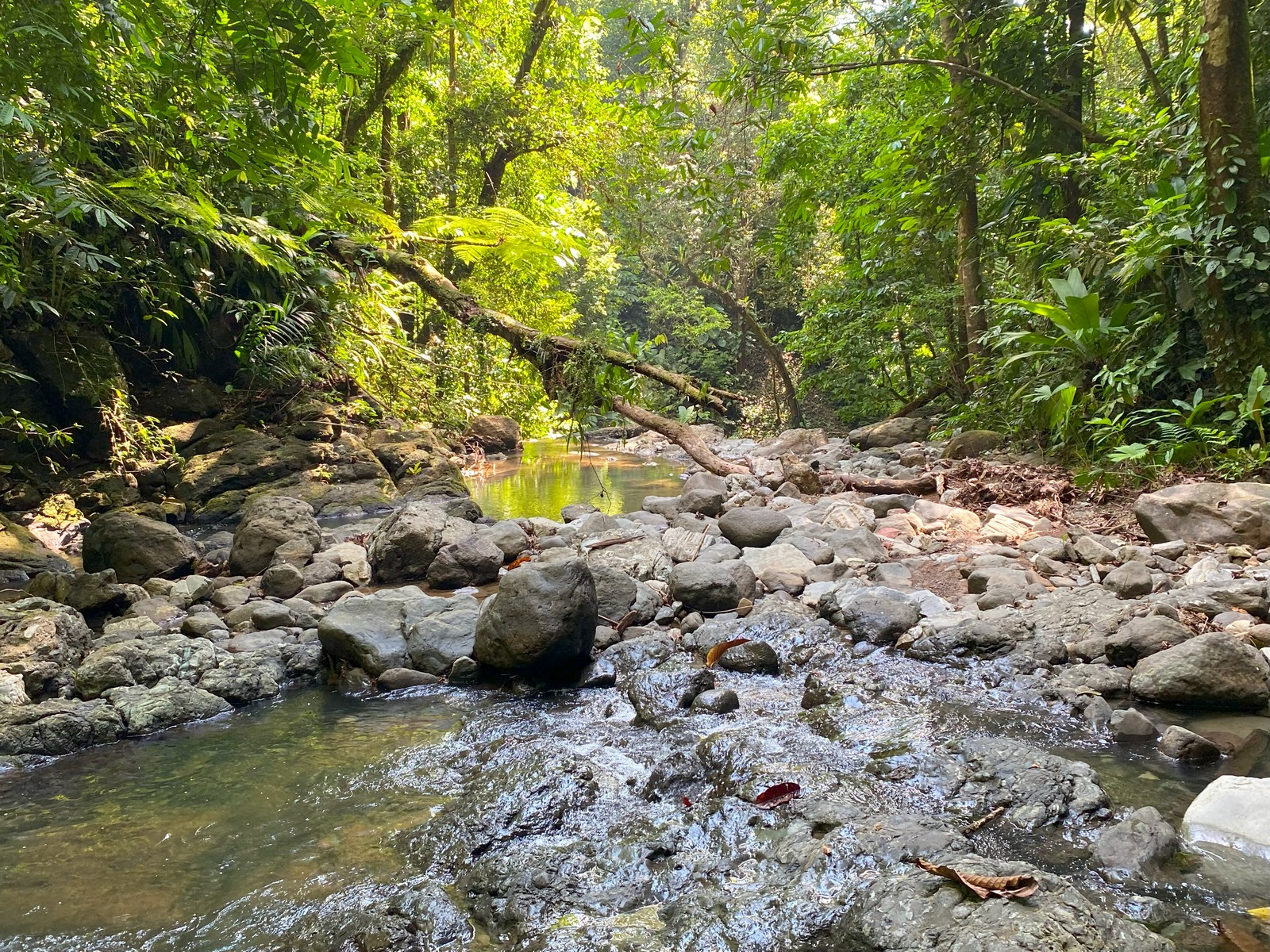 0 bed Land For Sale in Golfito, Puntarenas - thumb 26