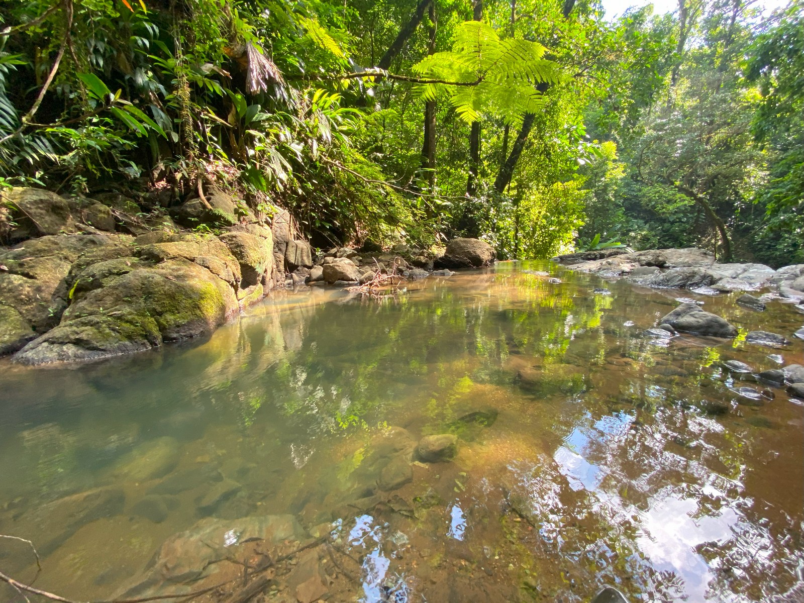 0 bed Land For Sale in Golfito, Puntarenas - thumb 28