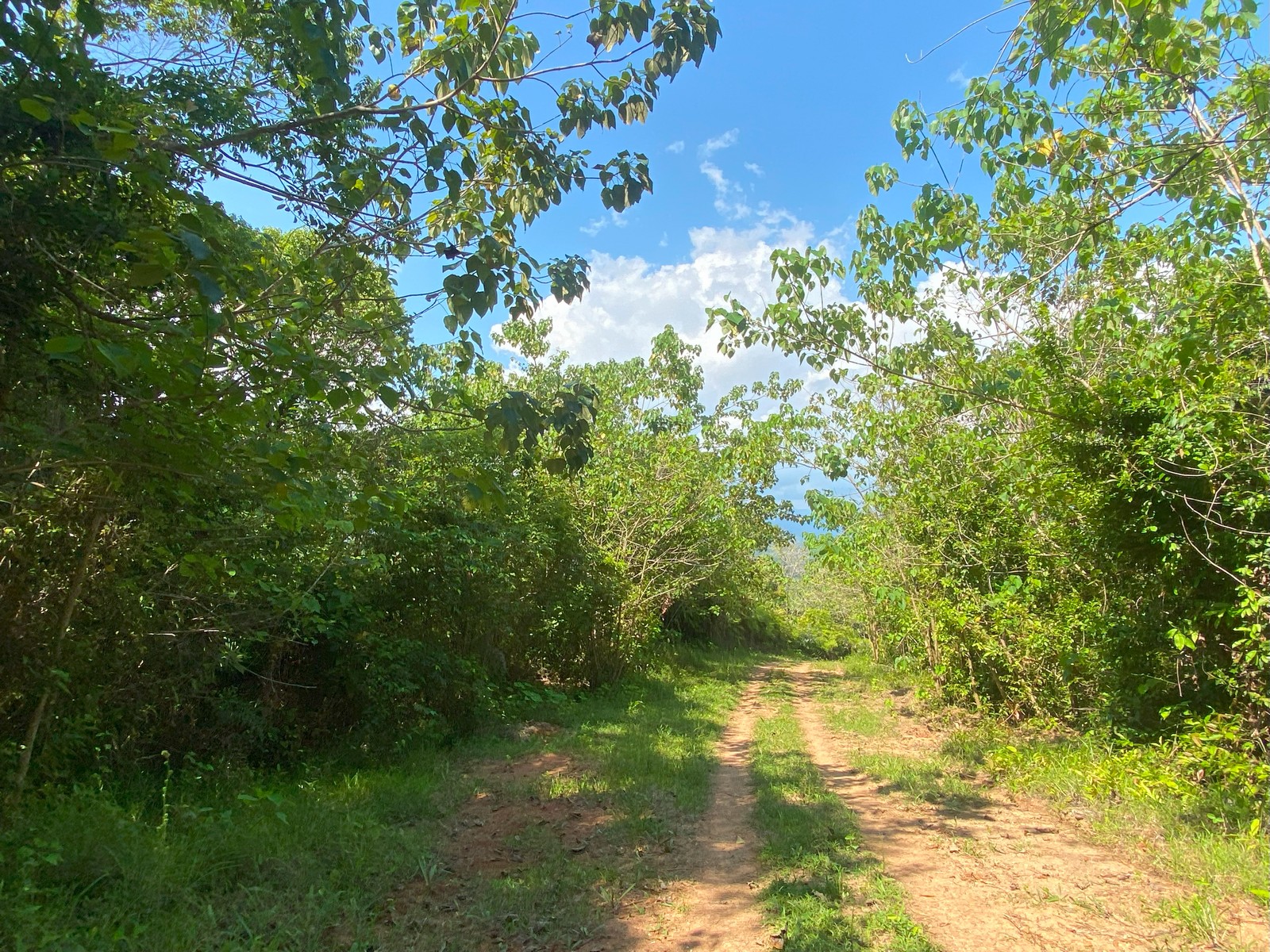 0 bed Land For Sale in Golfito, Puntarenas - thumb 9