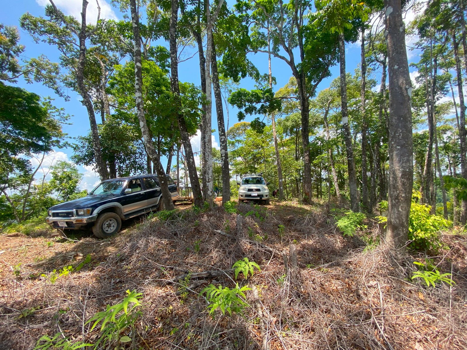 0 bed Land For Sale in Golfito, Puntarenas - thumb 22