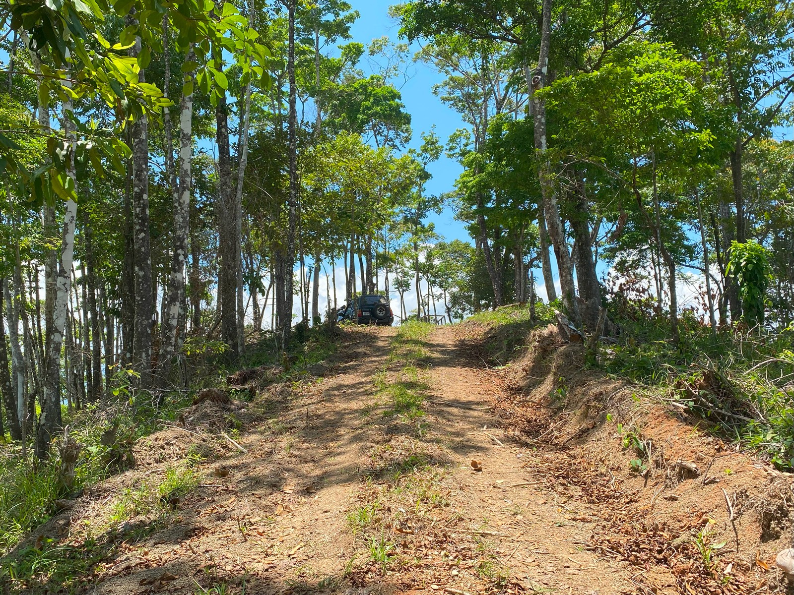 0 bed Land For Sale in Golfito, Puntarenas - thumb 23