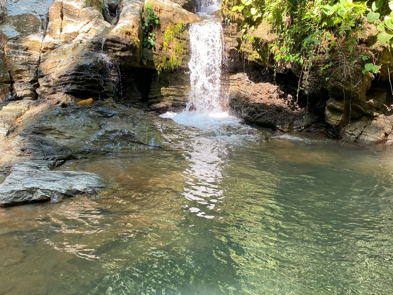 0 bed Land For Sale in Golfito, Puntarenas - thumb 2