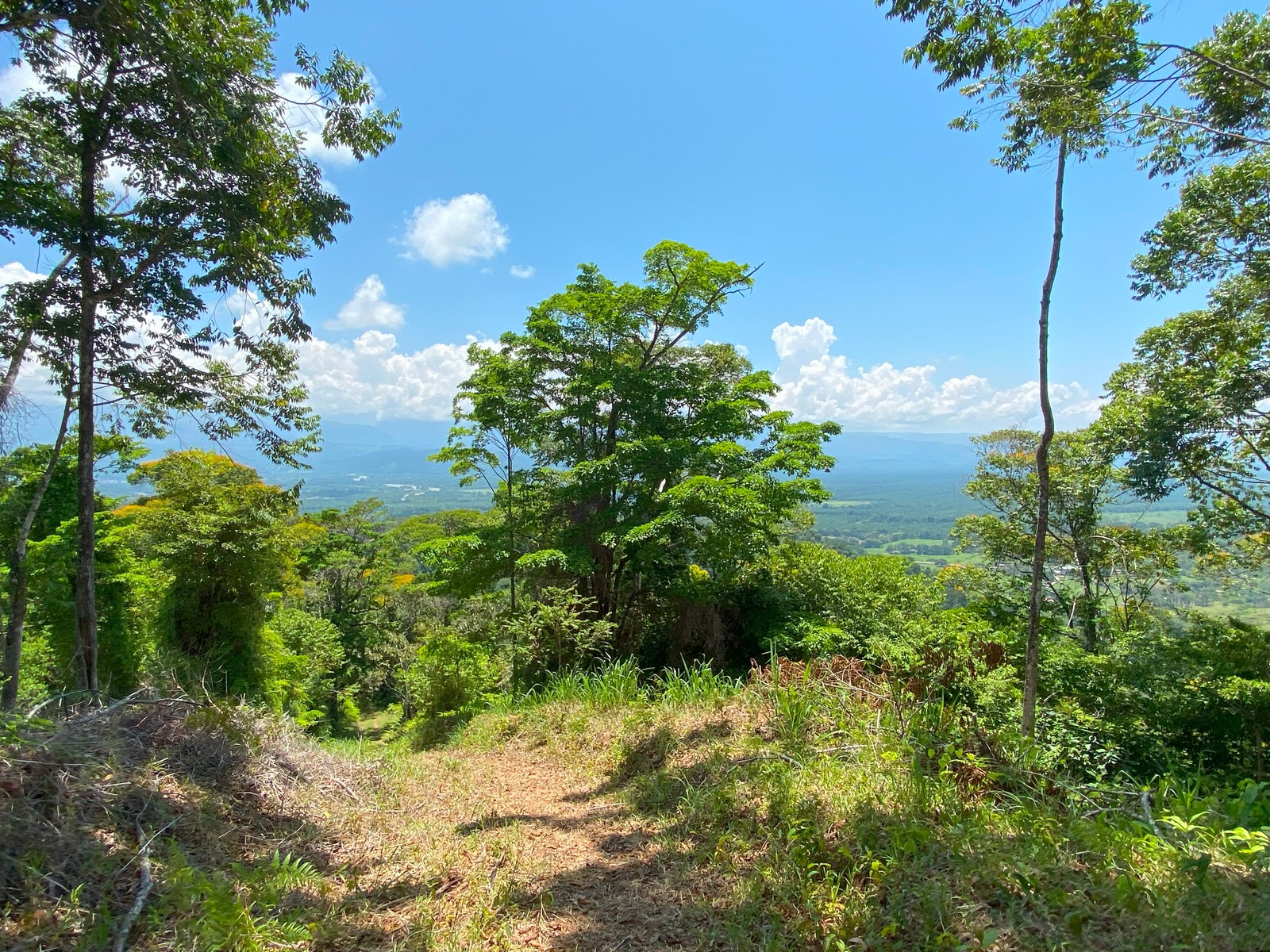 0 bed Land For Sale in Golfito, Puntarenas - thumb 1