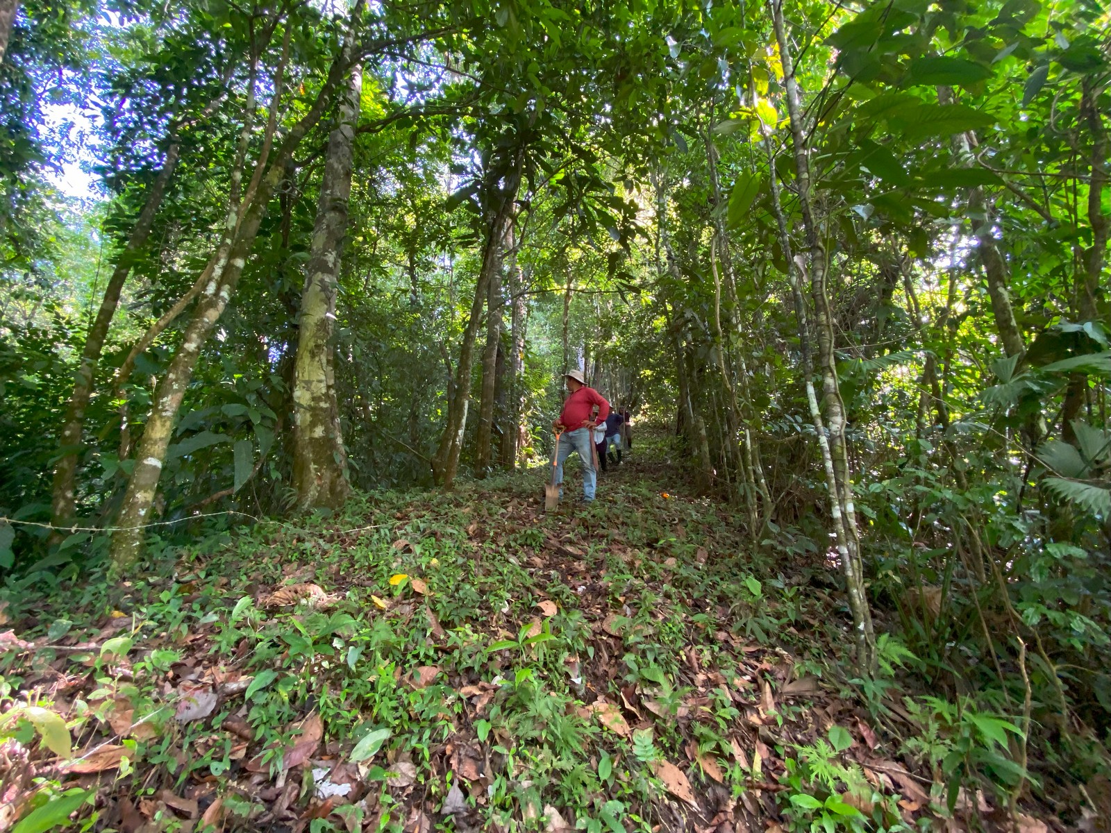 0 bed Land For Sale in Golfito, Puntarenas - thumb 16