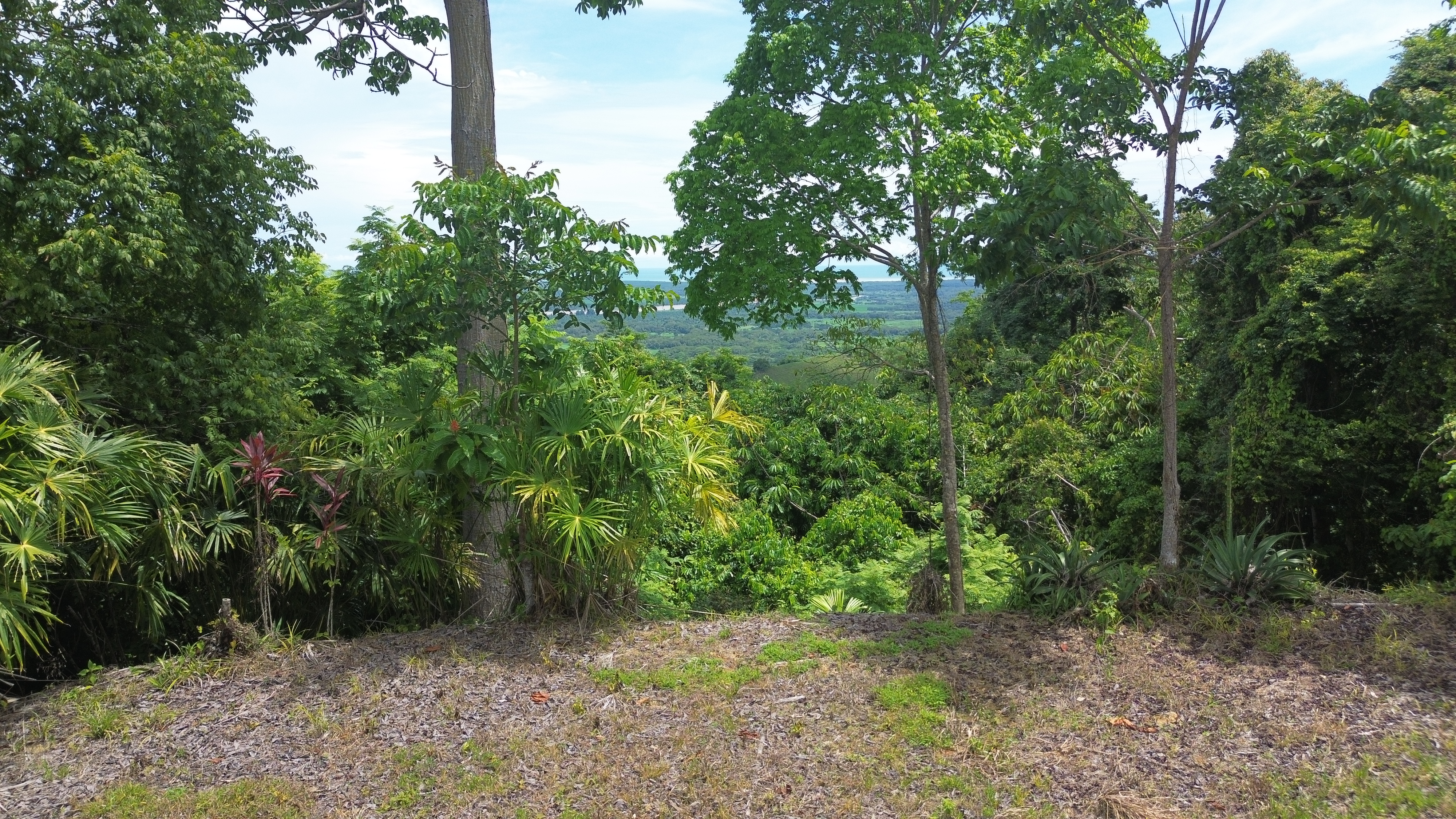 0 bed Land For Sale in Ojochal, Puntarenas - thumb 10