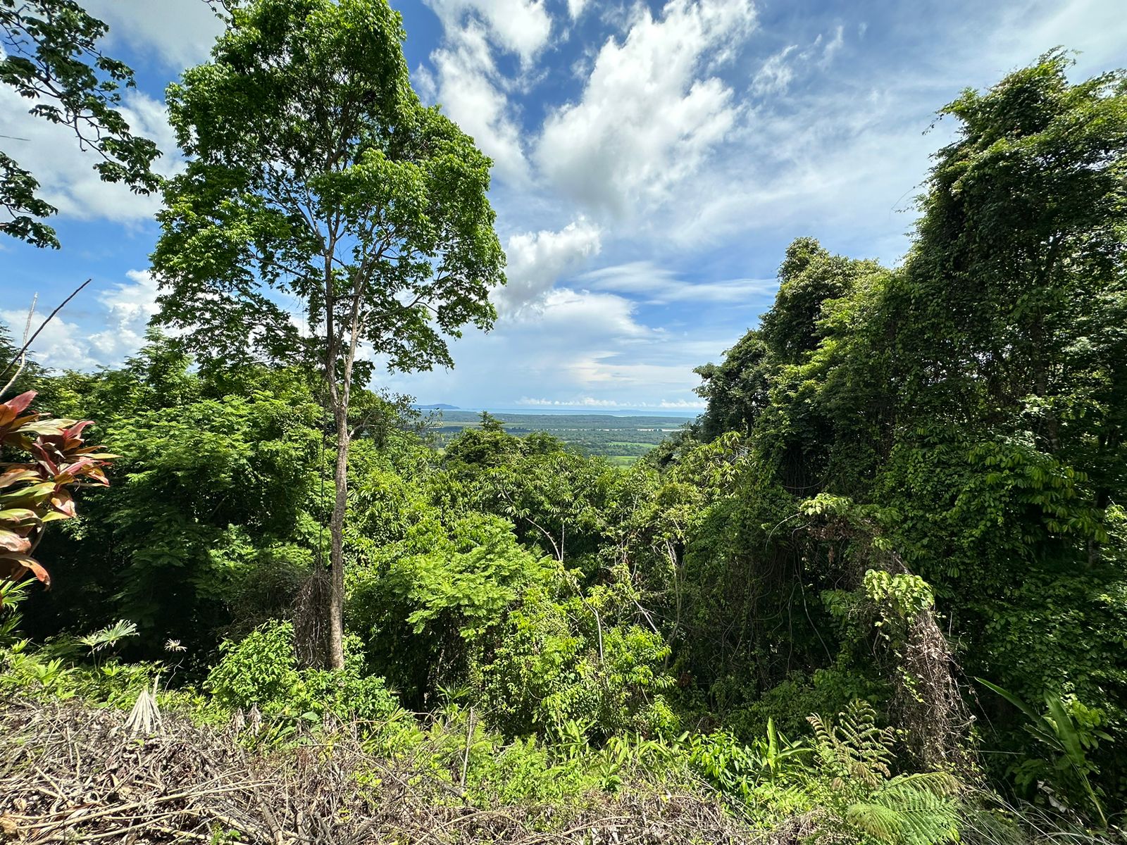 0 bed Land For Sale in Ojochal, Puntarenas - thumb 16