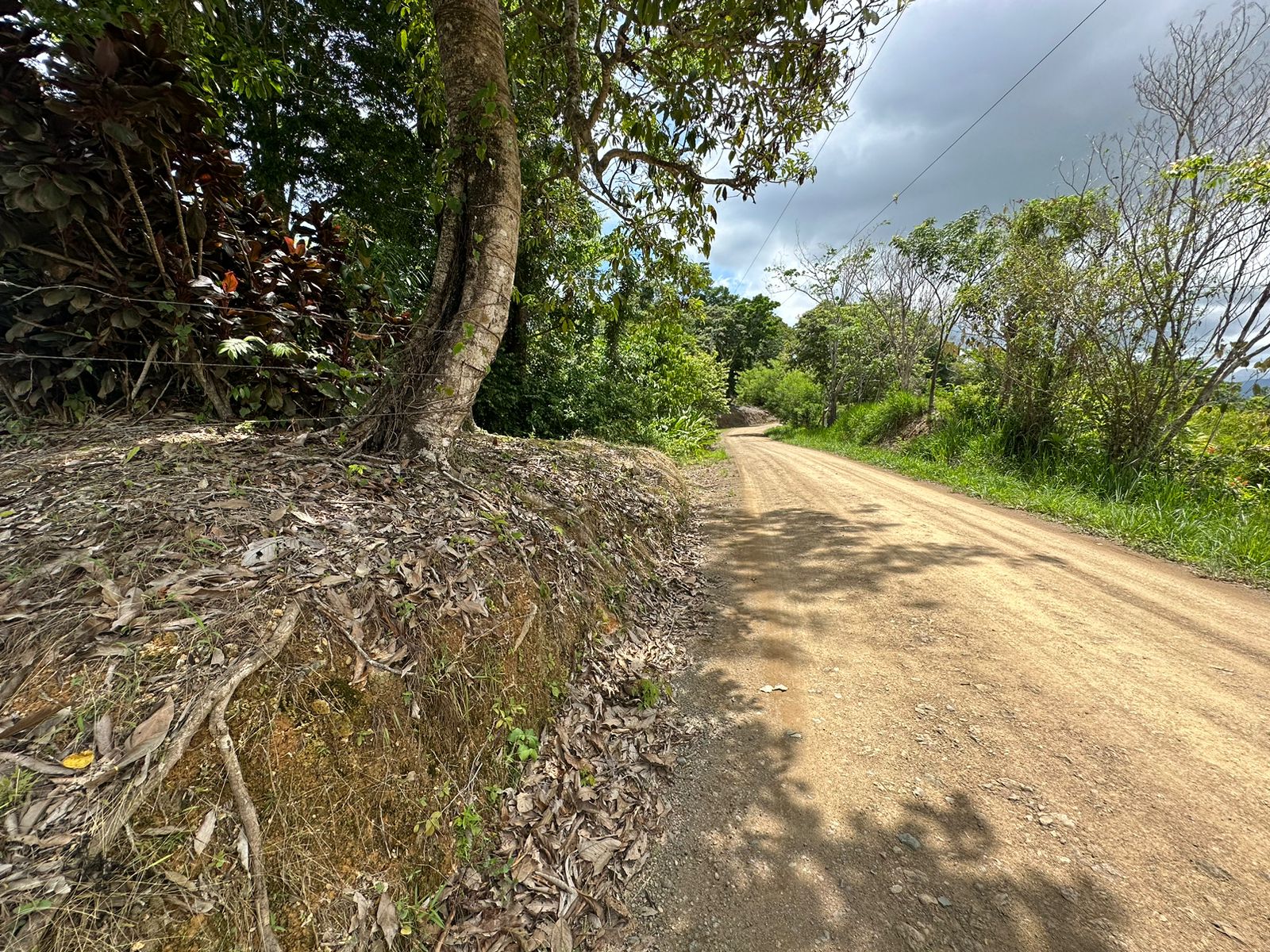 0 bed Land For Sale in Ojochal, Puntarenas - thumb 4