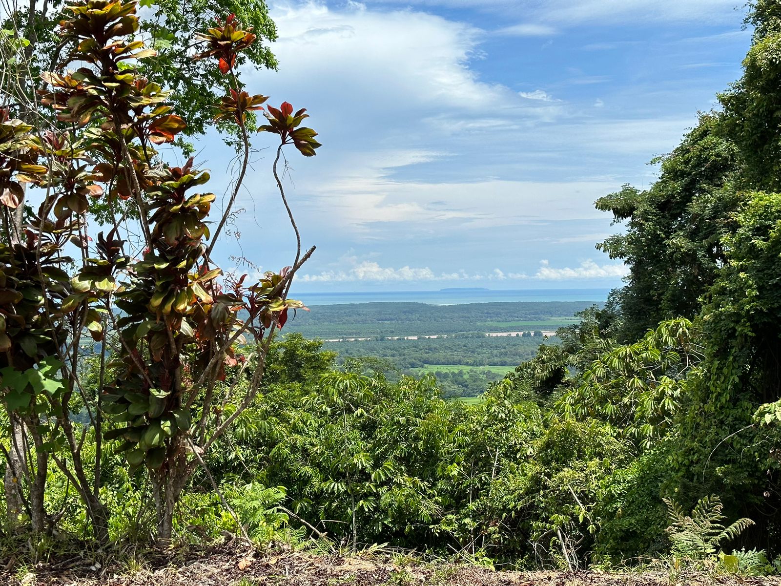 0 bed Land For Sale in Ojochal, Puntarenas - thumb 1