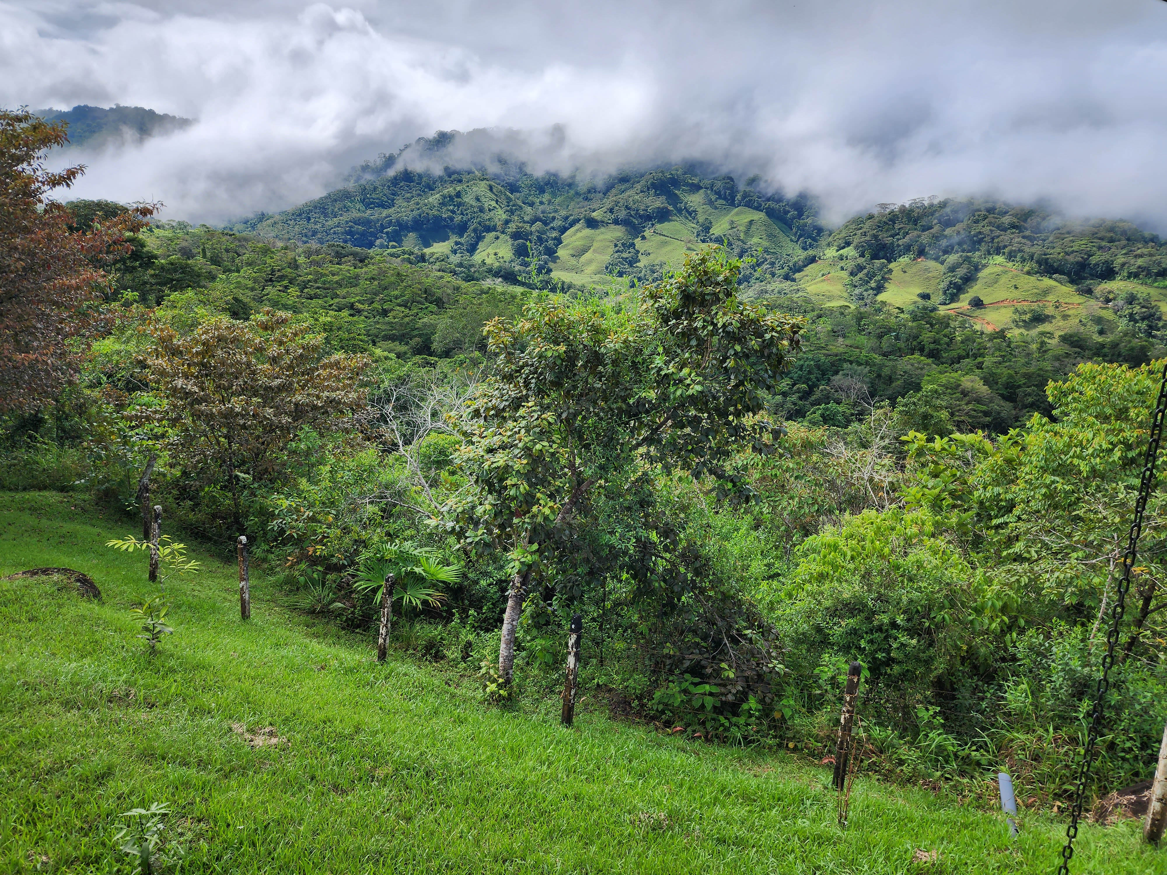 1 bed Single Family Homes For Sale in Dominical, Puntarenas - thumb 13